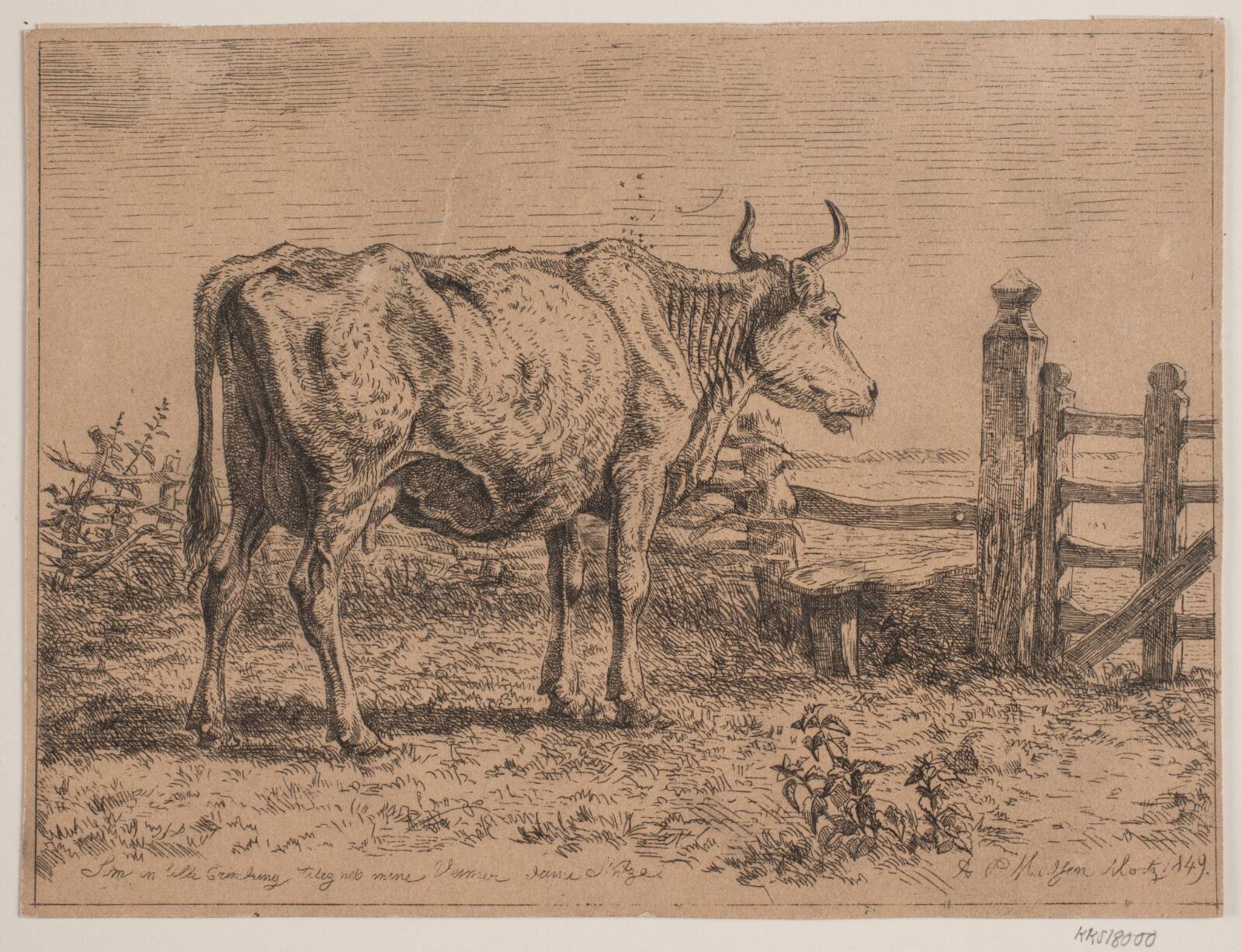 En stående ko, Madsen, A.P., 1849