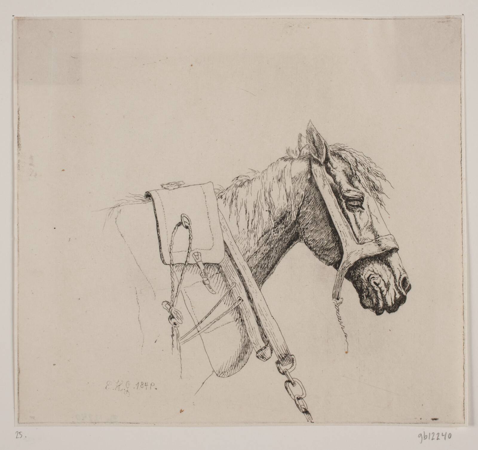 Et hestehoved, Emmerik Høegh-Guldberg, 1849
