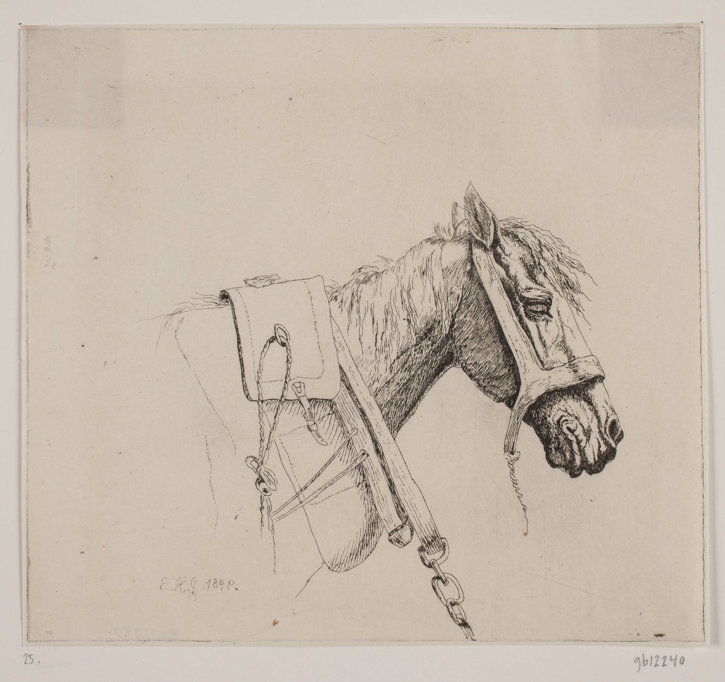 Et hestehoved, Emmerik Høegh-Guldberg, 1849
