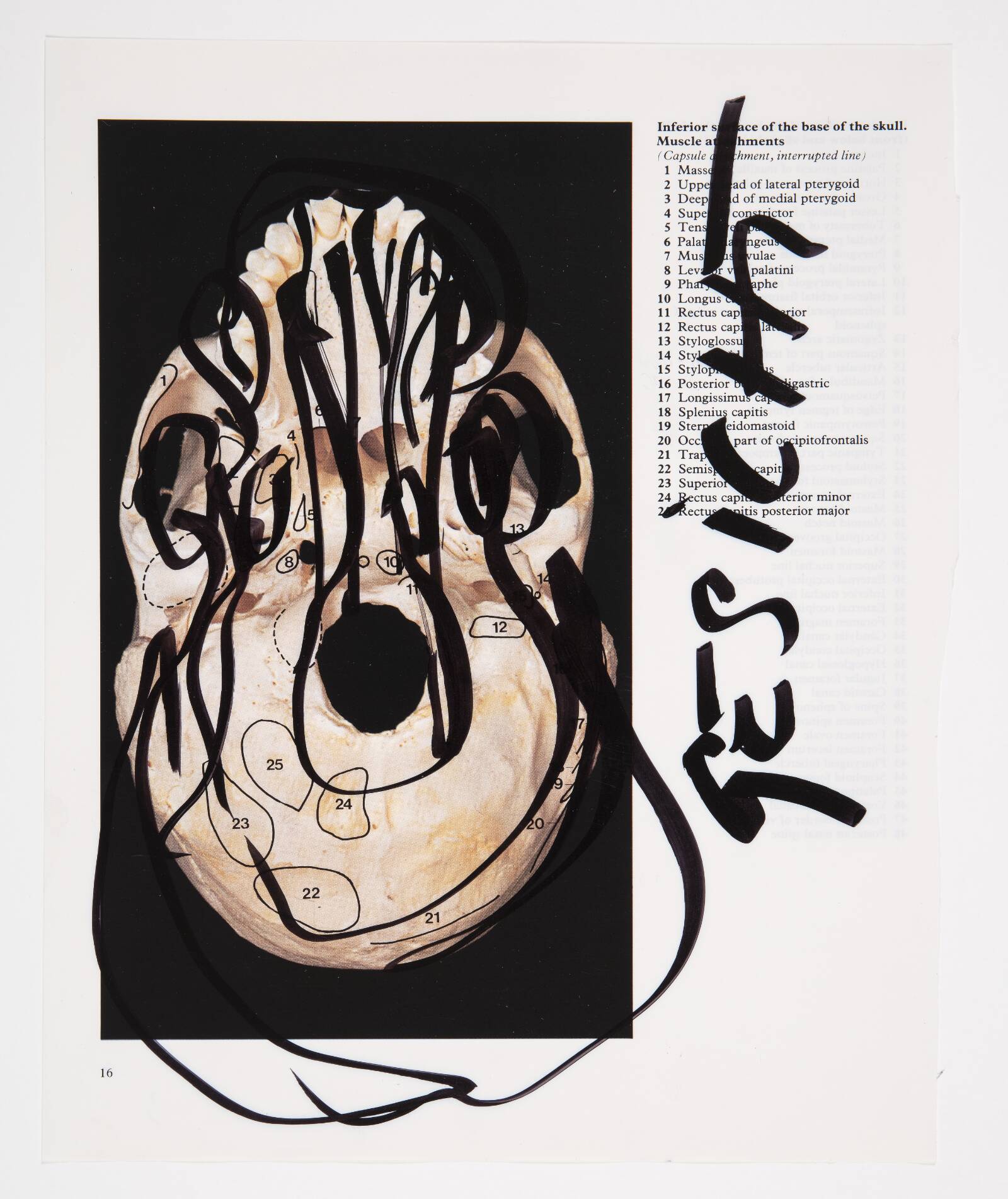 Gesicht, Christian Lemmerz, 1994