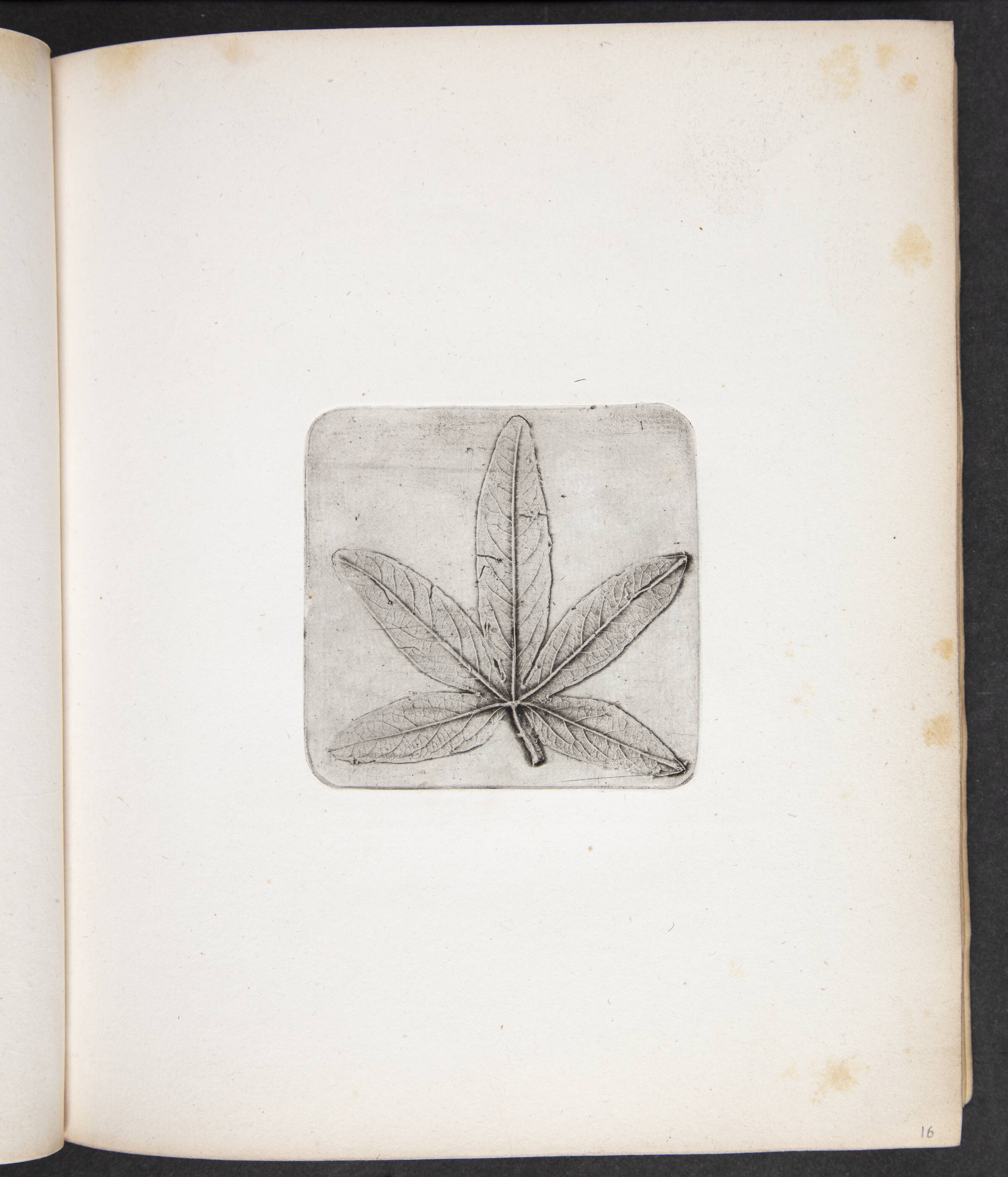 Aftryk af blad, Peter Larsen Kyhl, 1833