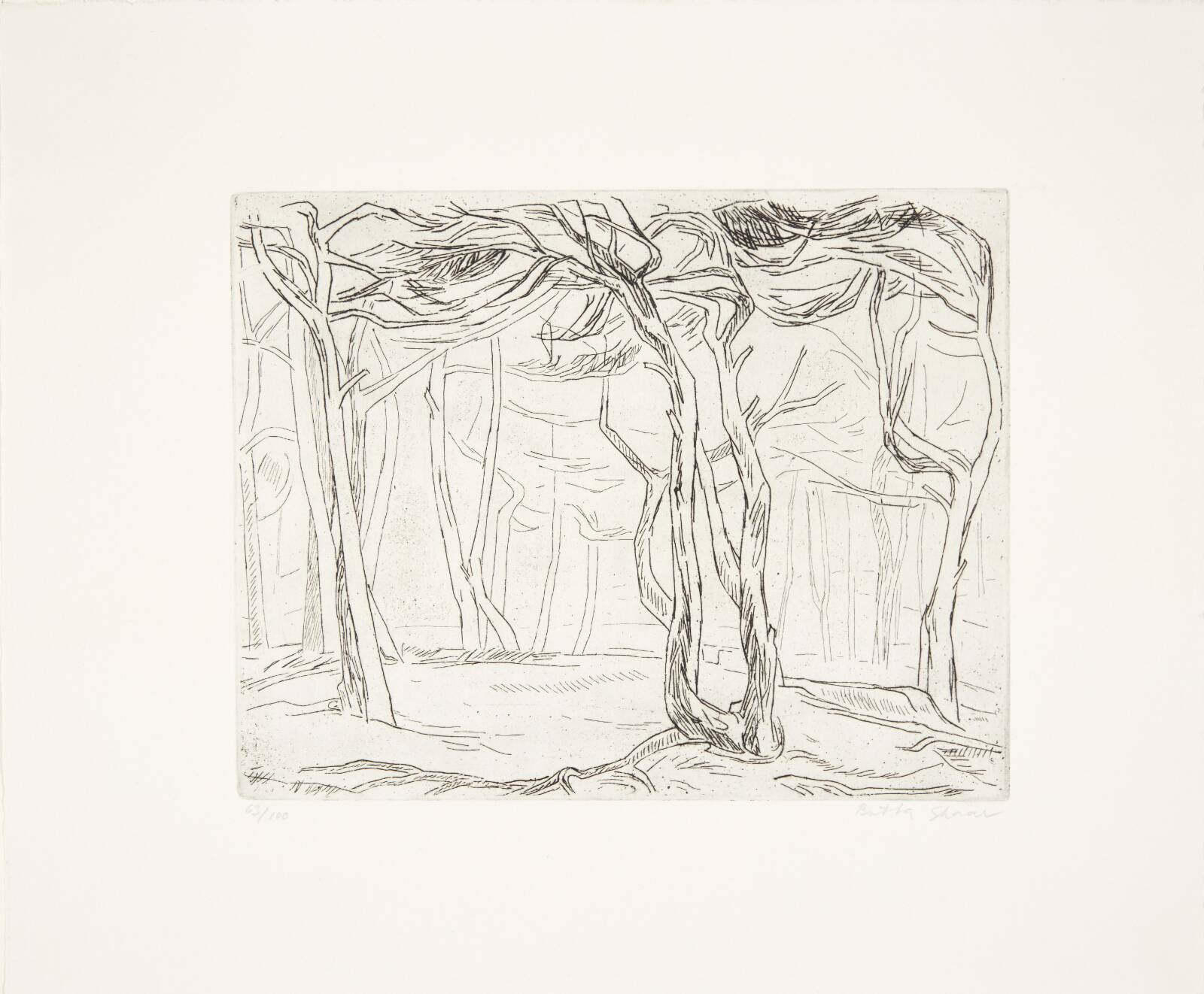 "Forblåst furu", Britta Skaar, 1962