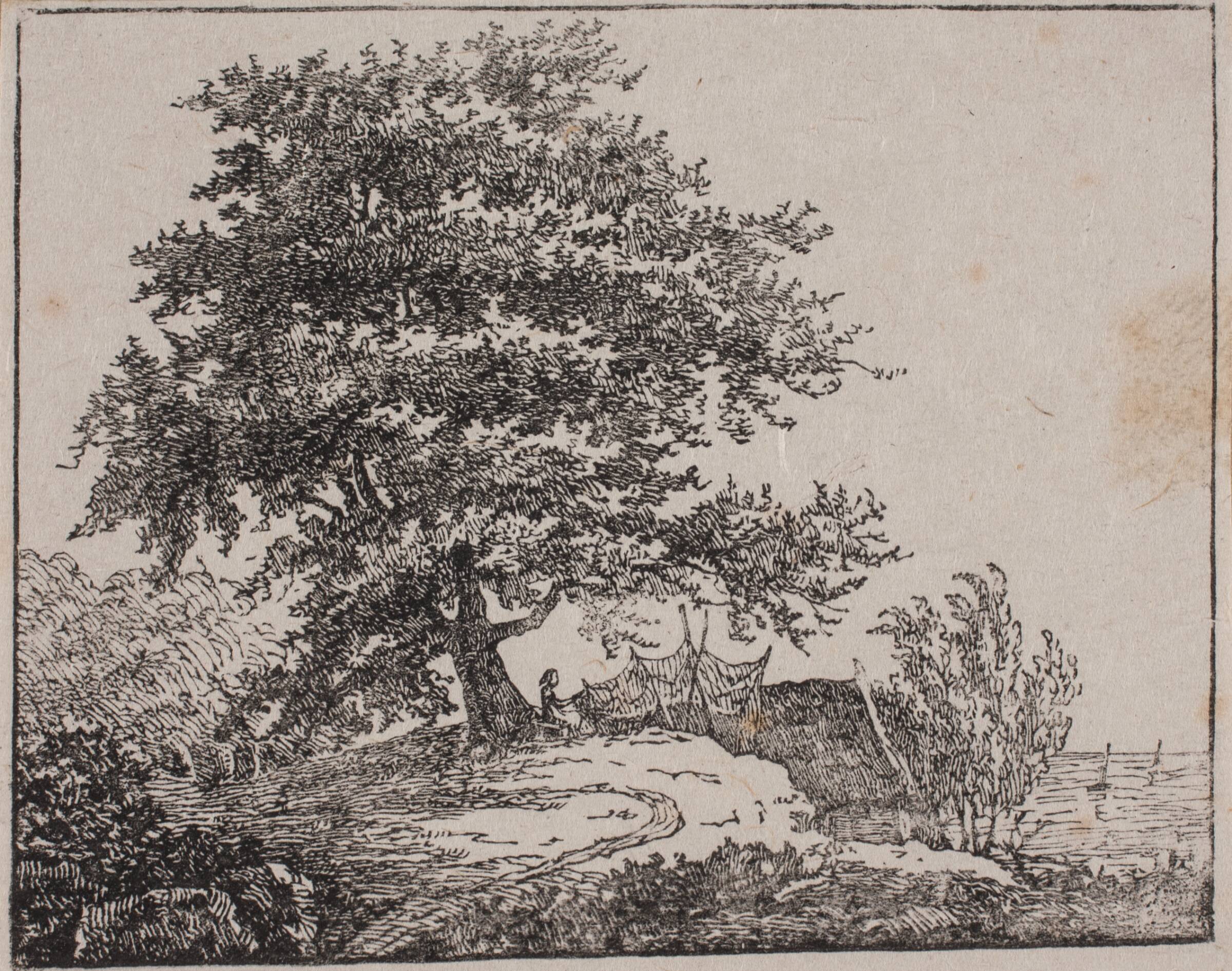 Træ på en skrænt ved havet, Axel Theodor Kittendorff, 1840