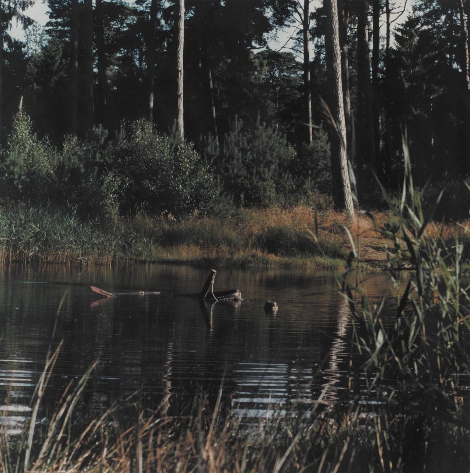 The Lake (Sunken boat) 12, Peter Land, 1999