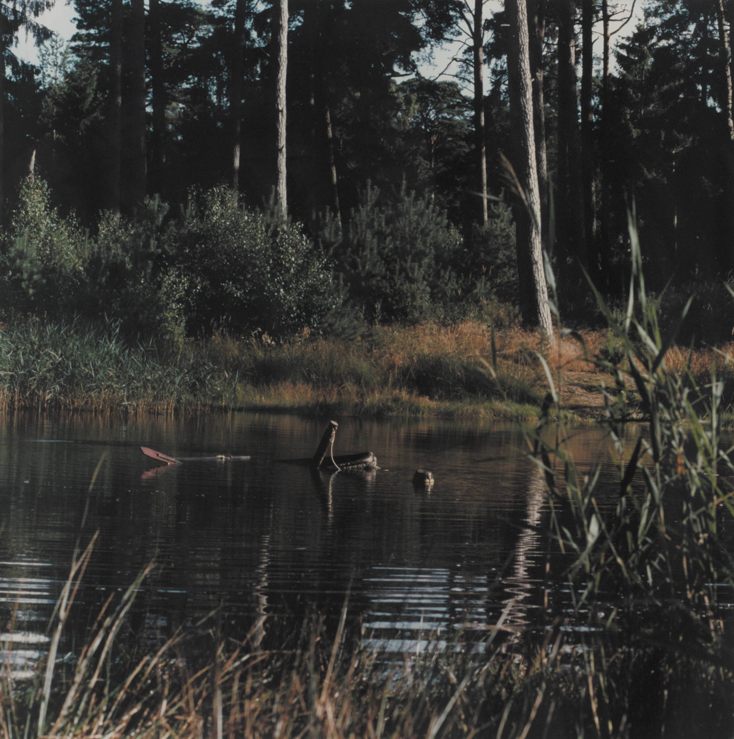 The Lake (Sunken boat) 12, Peter Land, 1999