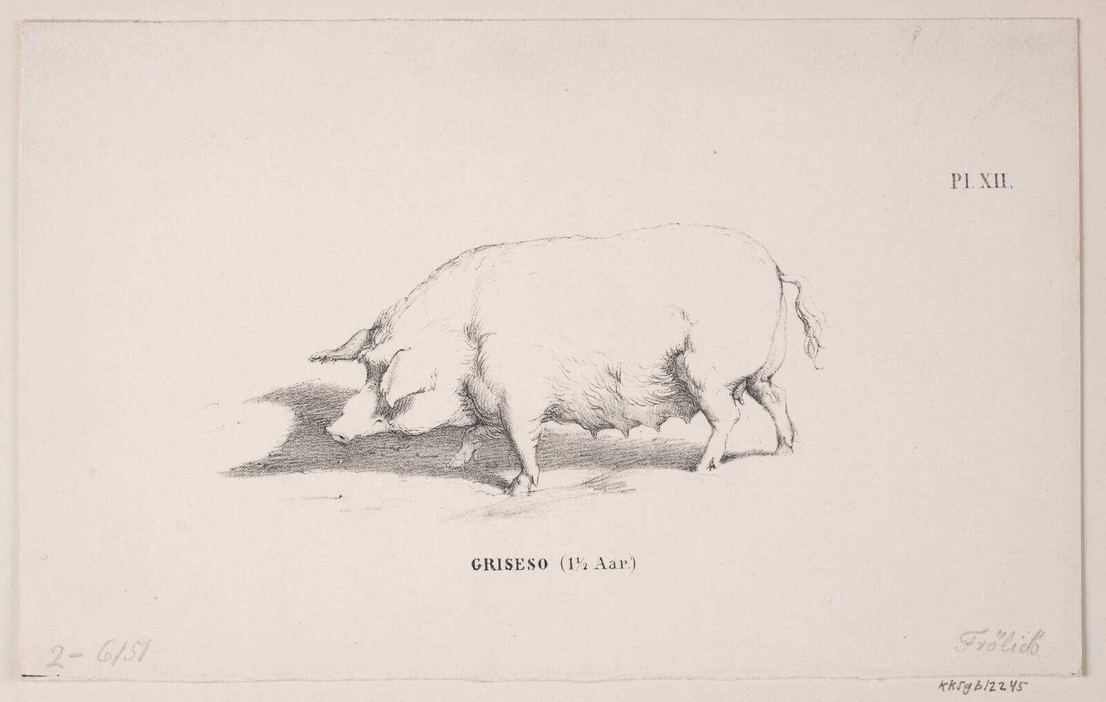 Griseso, Lorenz Frølich, 1820-1908