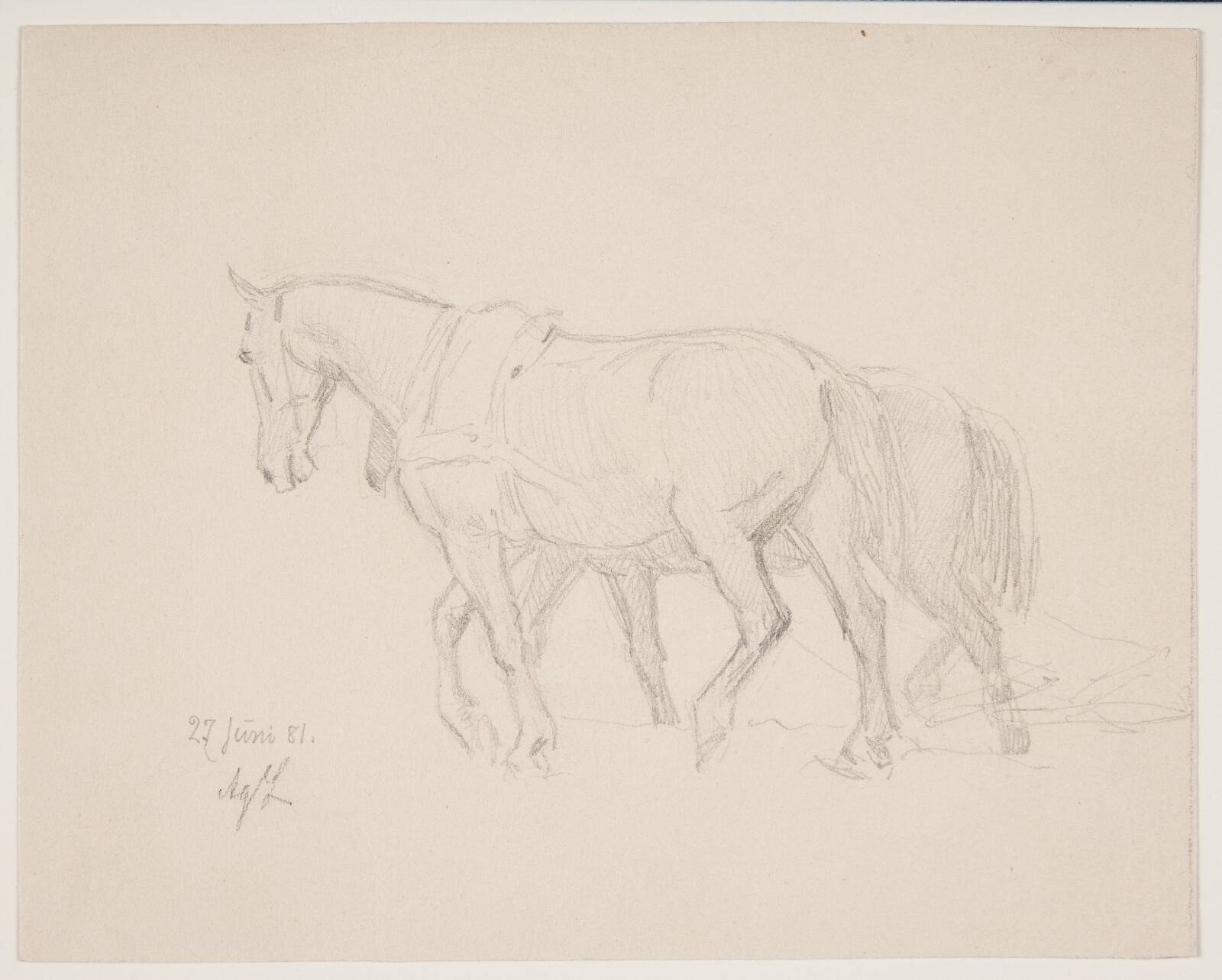 To heste, Agnes Lunn, 1881