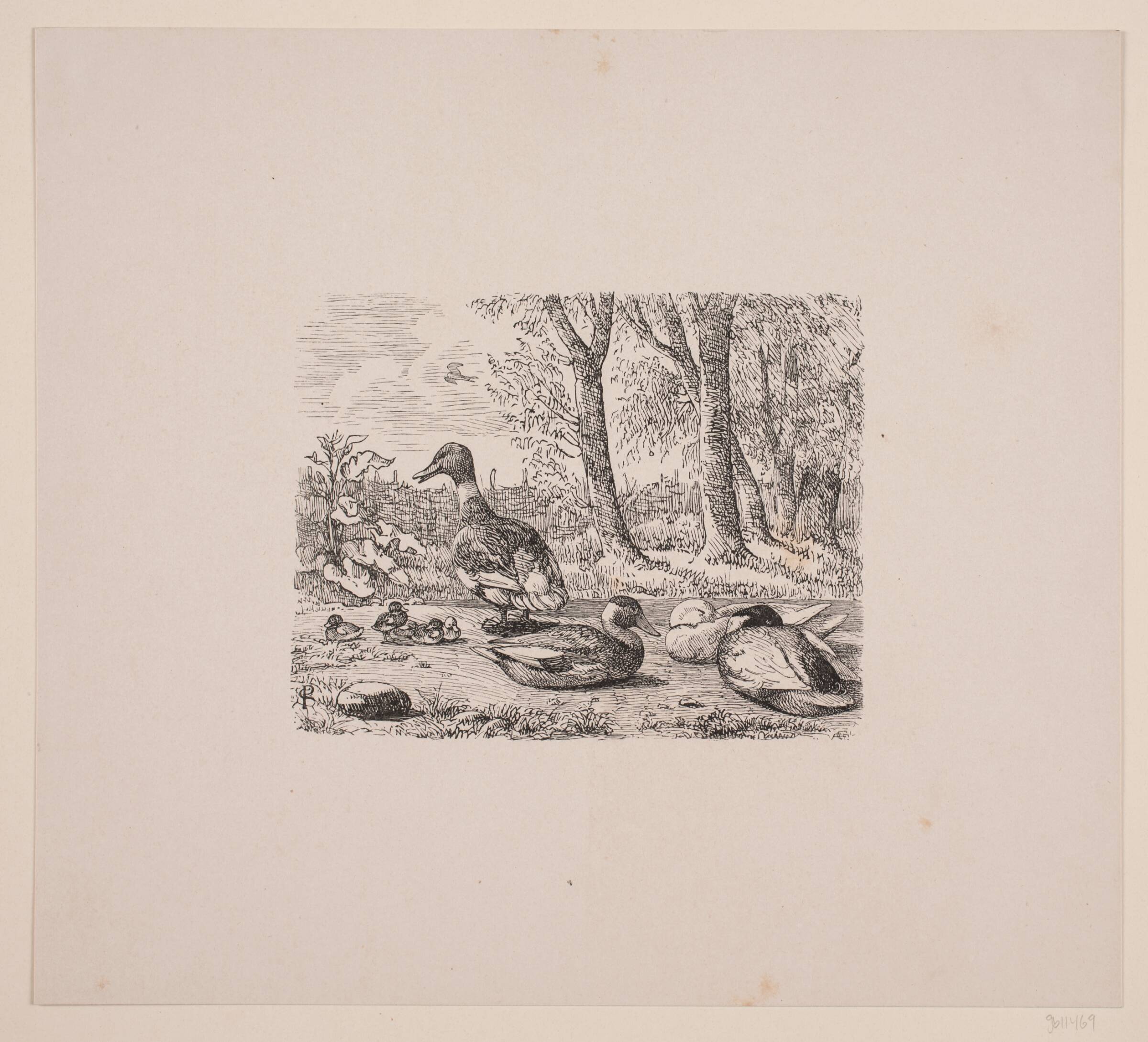 En gruppe ænder i Gæa, Æsthetisk Aarbog, 1845, Andreas Flinch, 1846