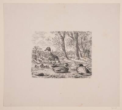 En gruppe ænder i Gæa, Æsthetisk Aarbog, 1845