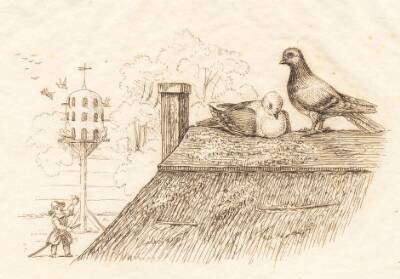 Illustration til "Halvhundrede Fabler for Børn" af Hey