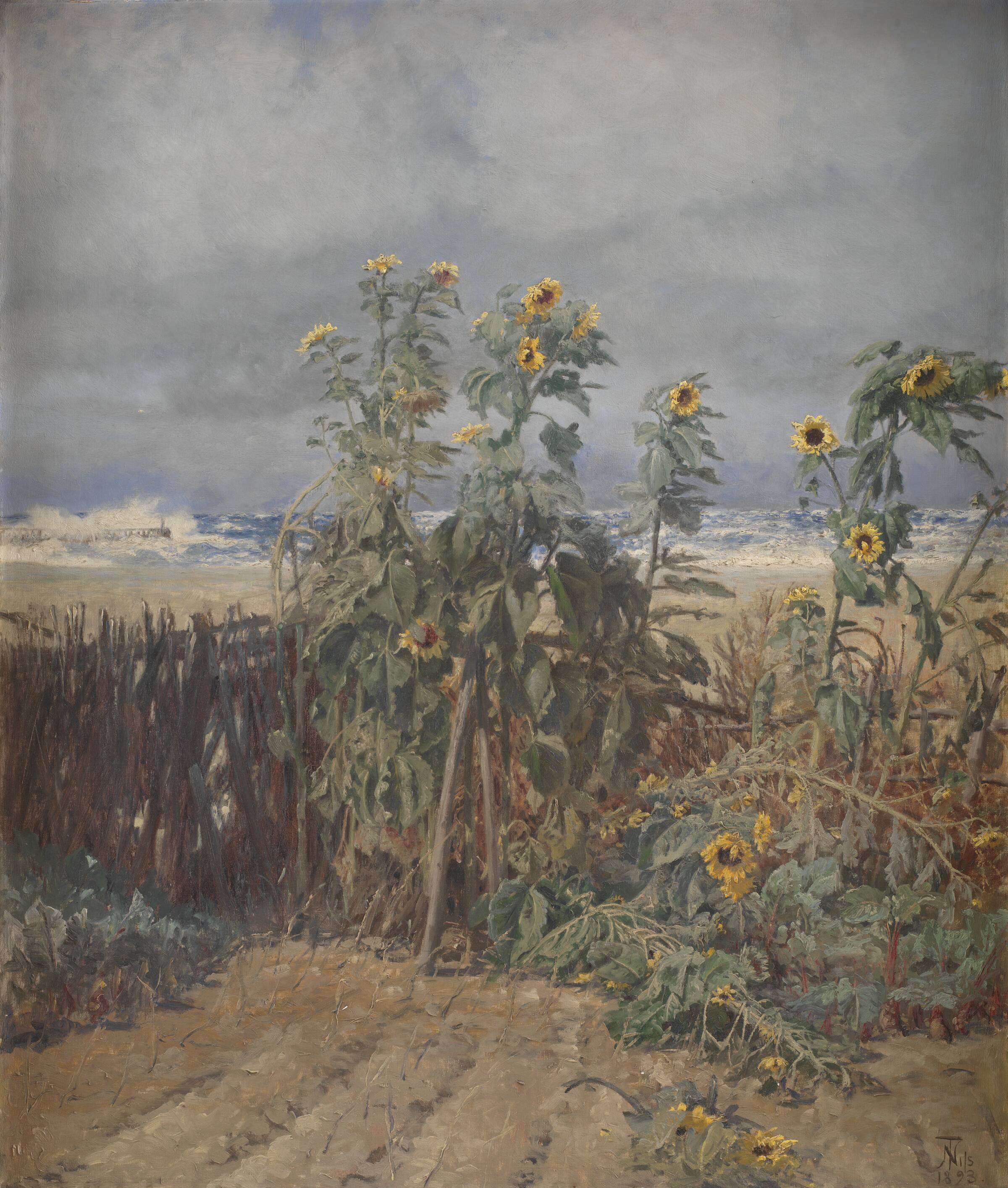 Solsikker på en strand, Thorvald Niss, 1893