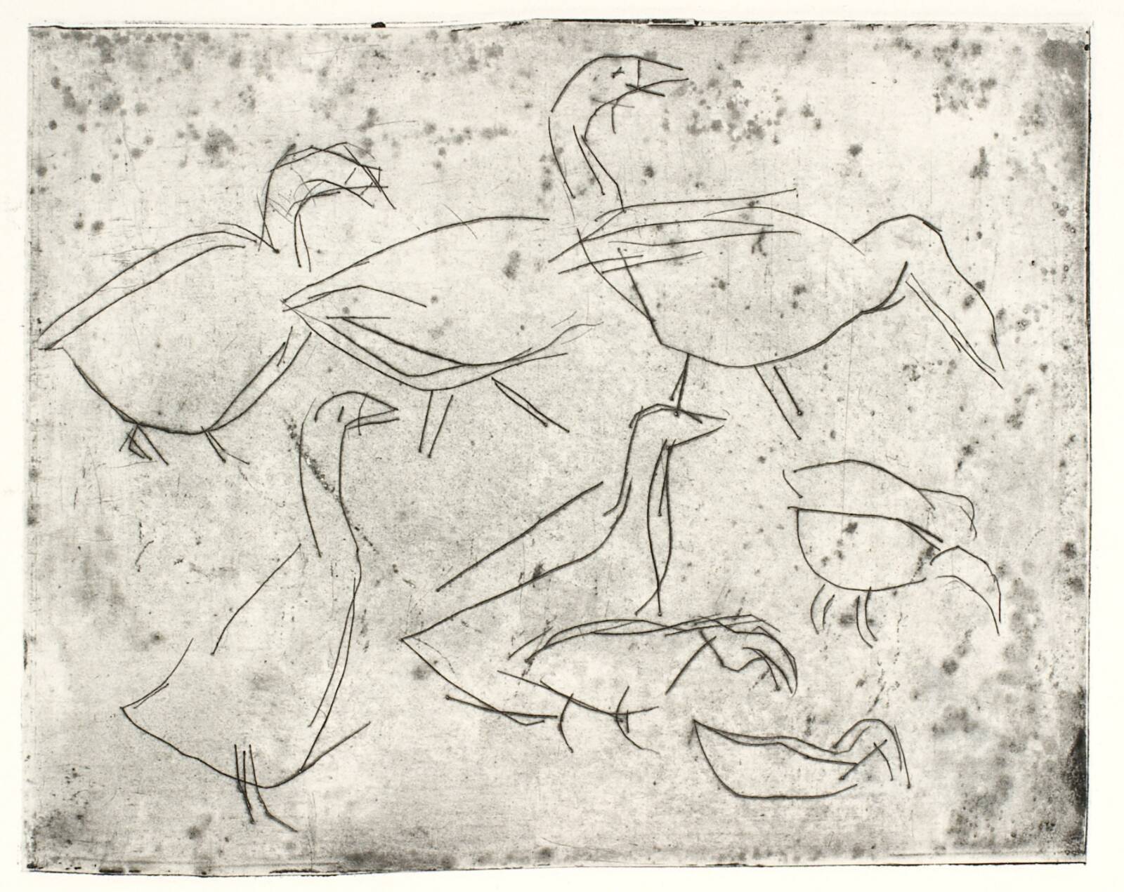 Gæs, Olivia Holm-Møller, 1948-1951