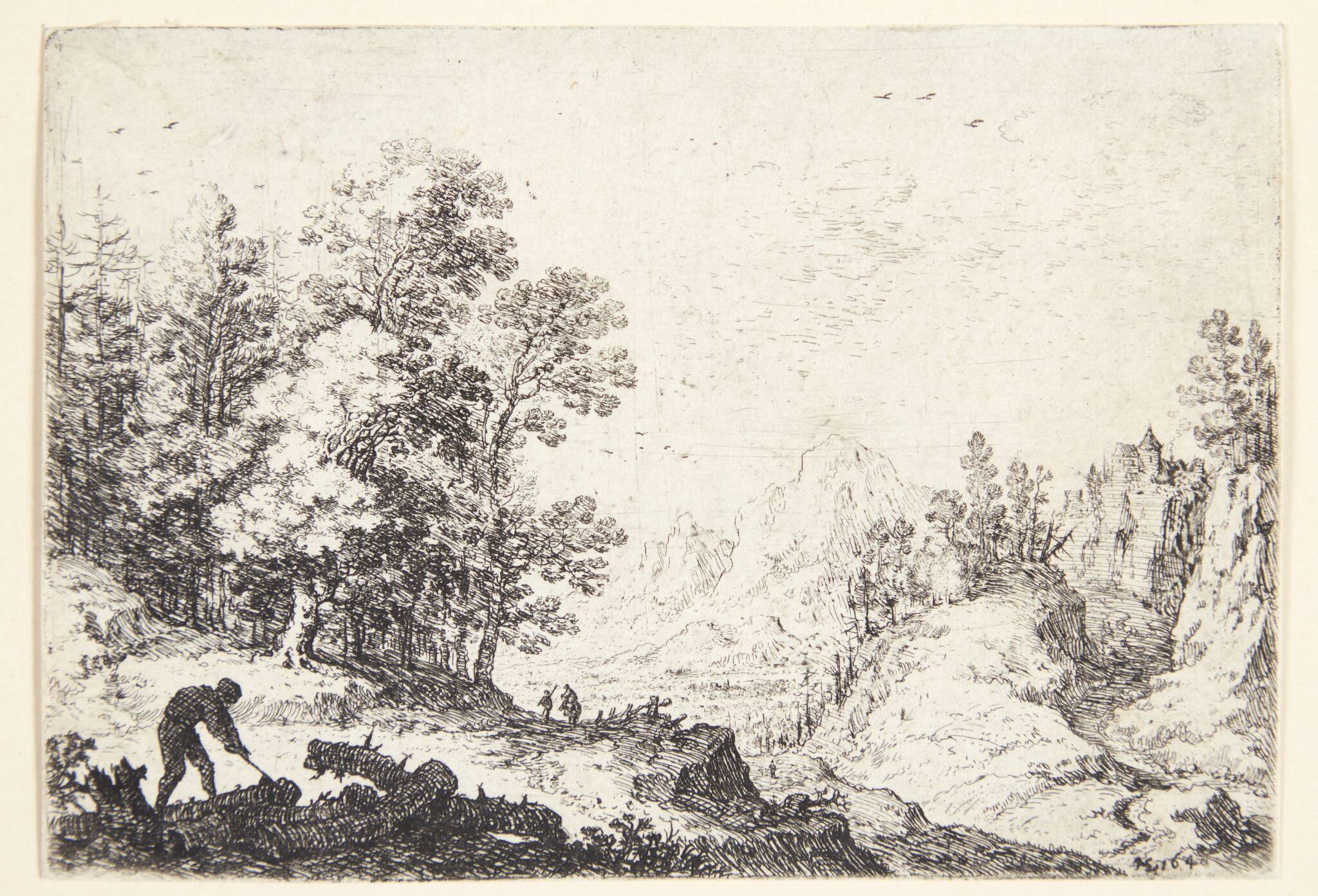 Panorama over bjergrigt landskab, i forgrunden en brændehugger