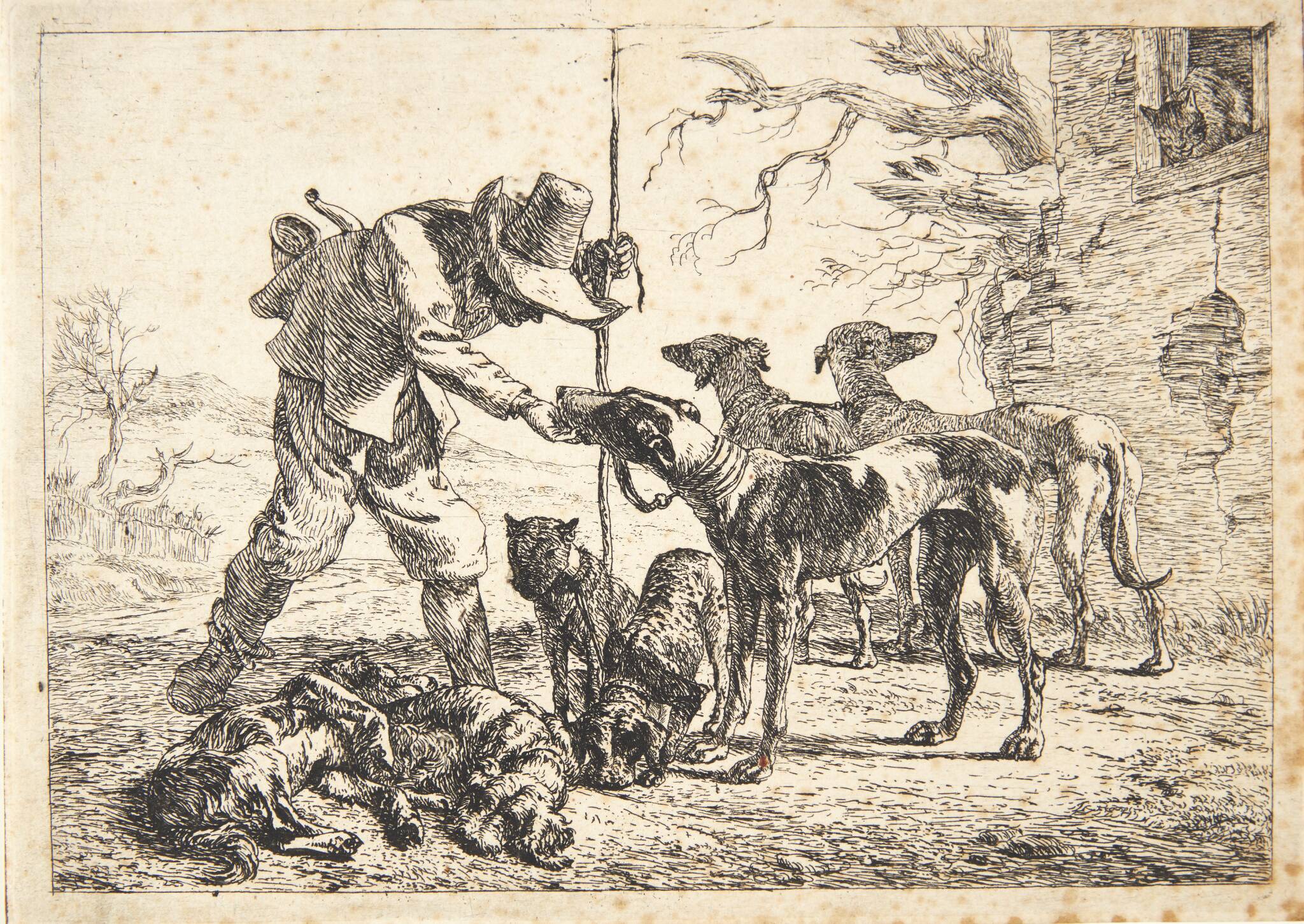 En mand med et større kobbel hunde