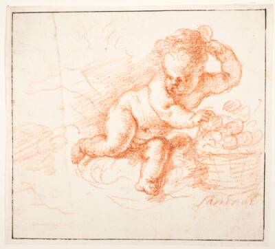 Putti samler frugt