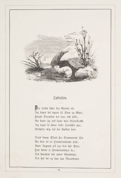Lækatten. Illustration til H.V. Kaalund, "Fabler for Børn"