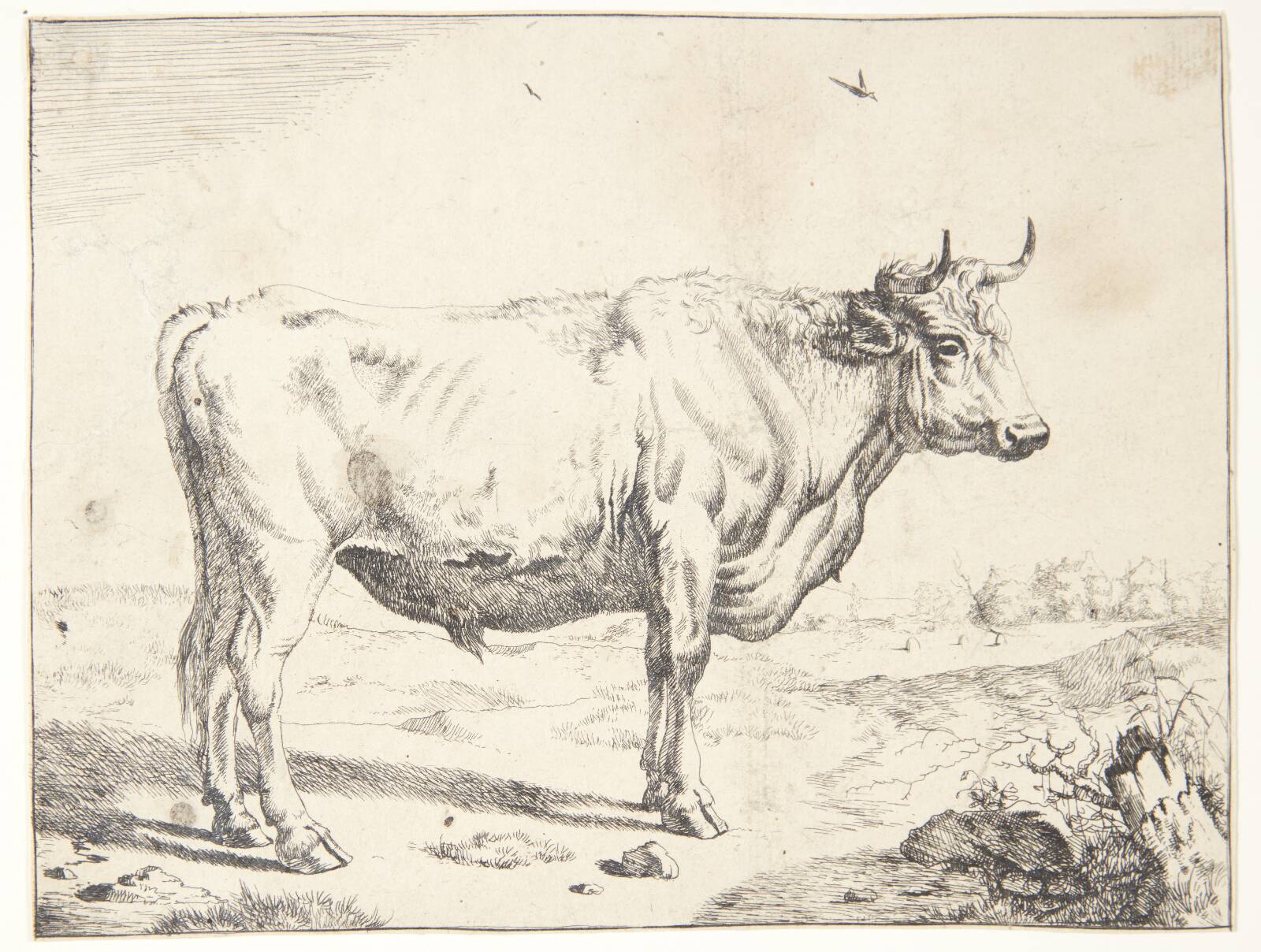 Stående stud, Marcus de Bye, 1638-1690