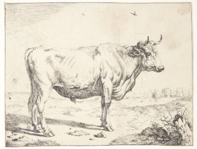 Stående stud