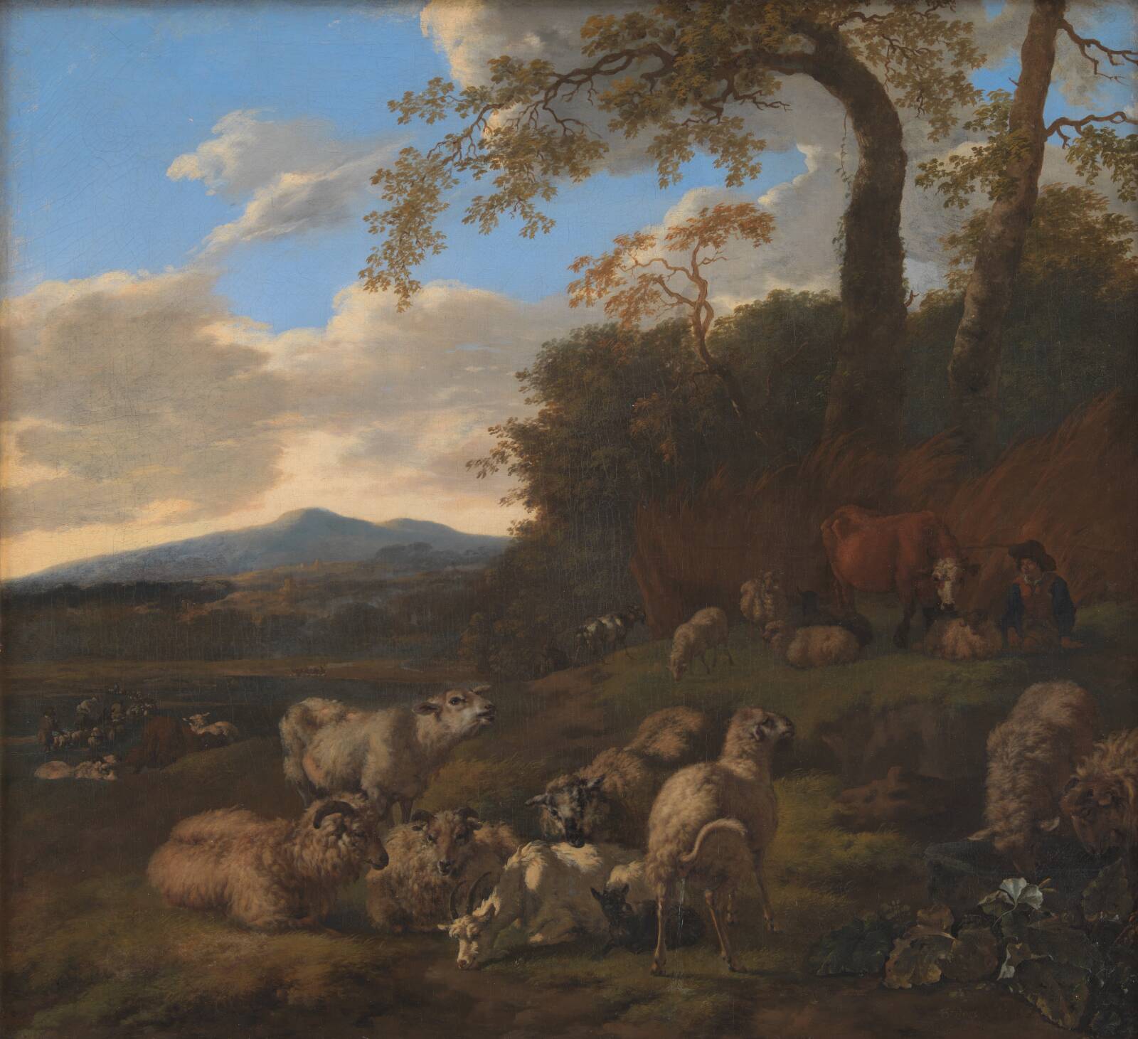 Fårehjorden, Jacob van der Does, 1661