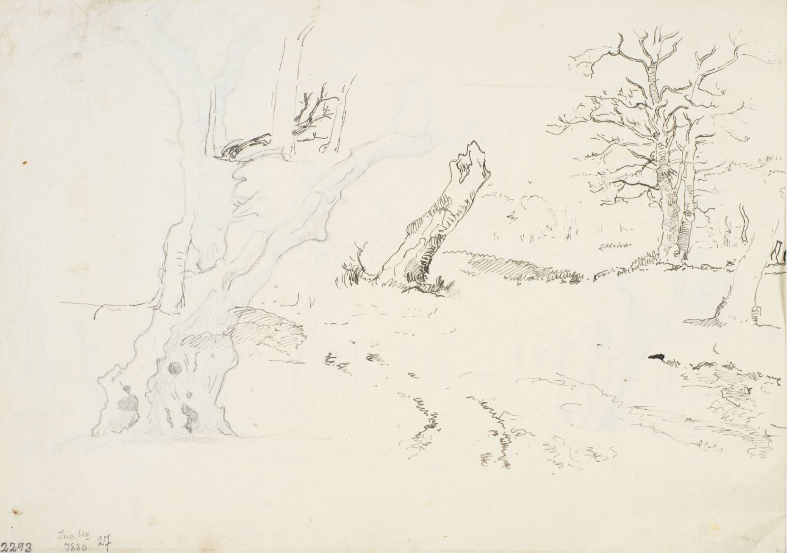 Landskab med spredte egetræer, Dankvart Dreyer, 1840-1849
