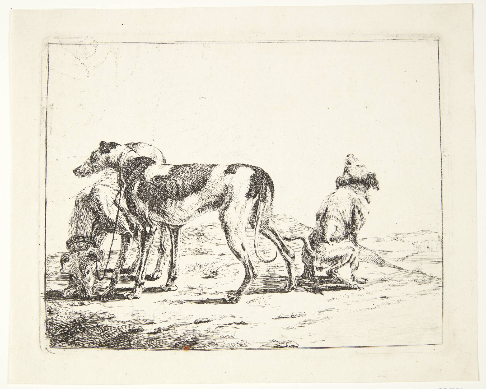 Jacob de Jonckheer