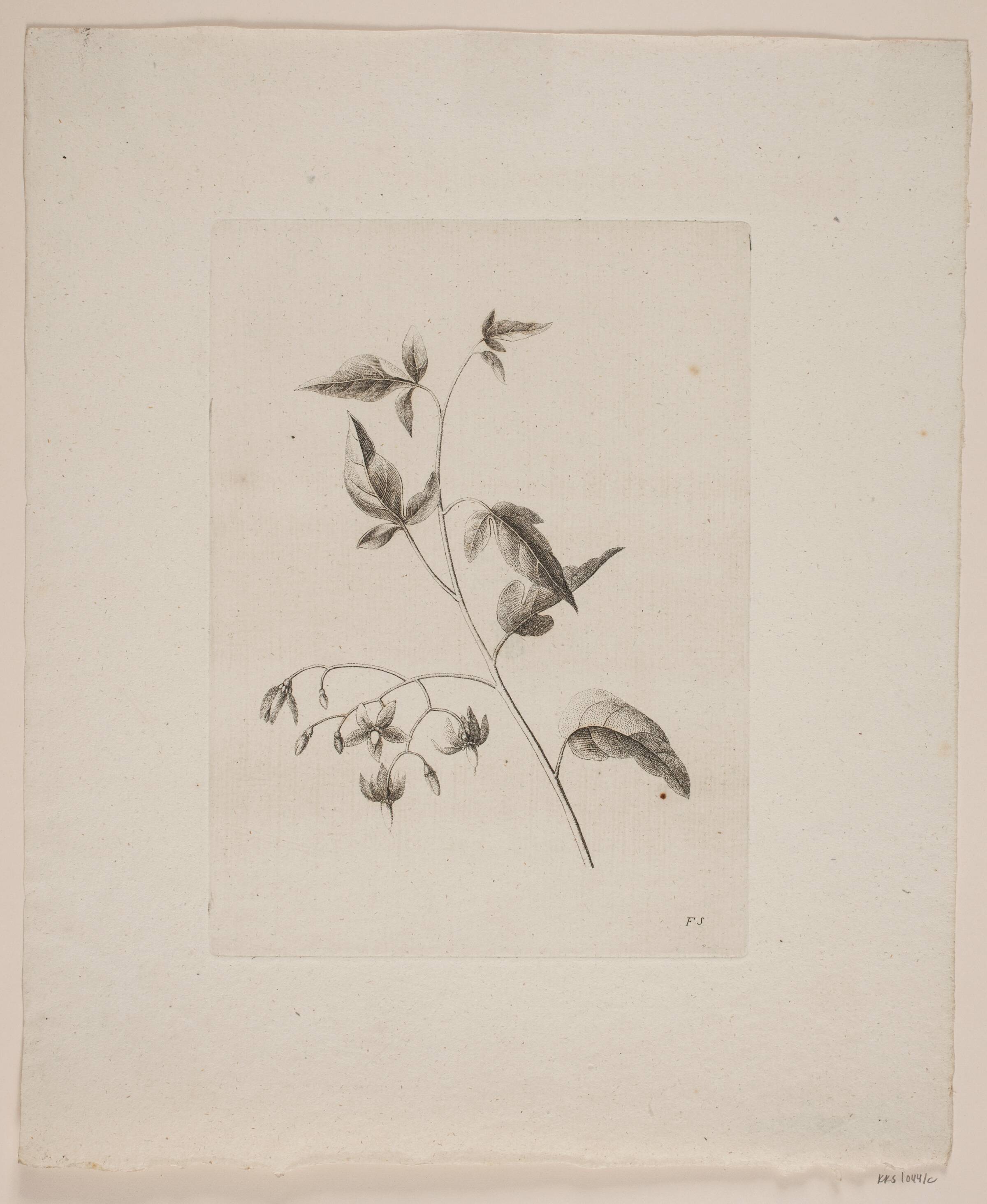 Blomstermotiv, Frederik Schepelern, 1796-1883