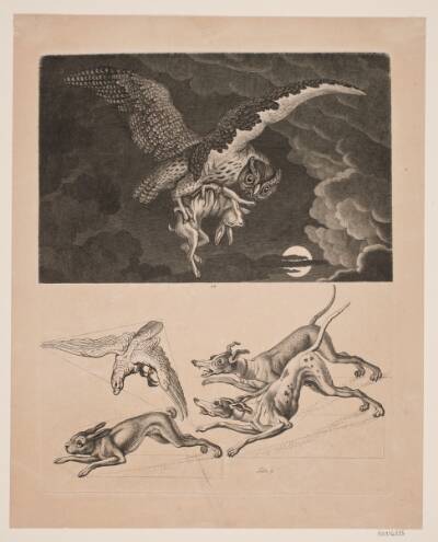 Tavle med Ugle flyvende med hare, derunder; hunde, hare og jagtfalk