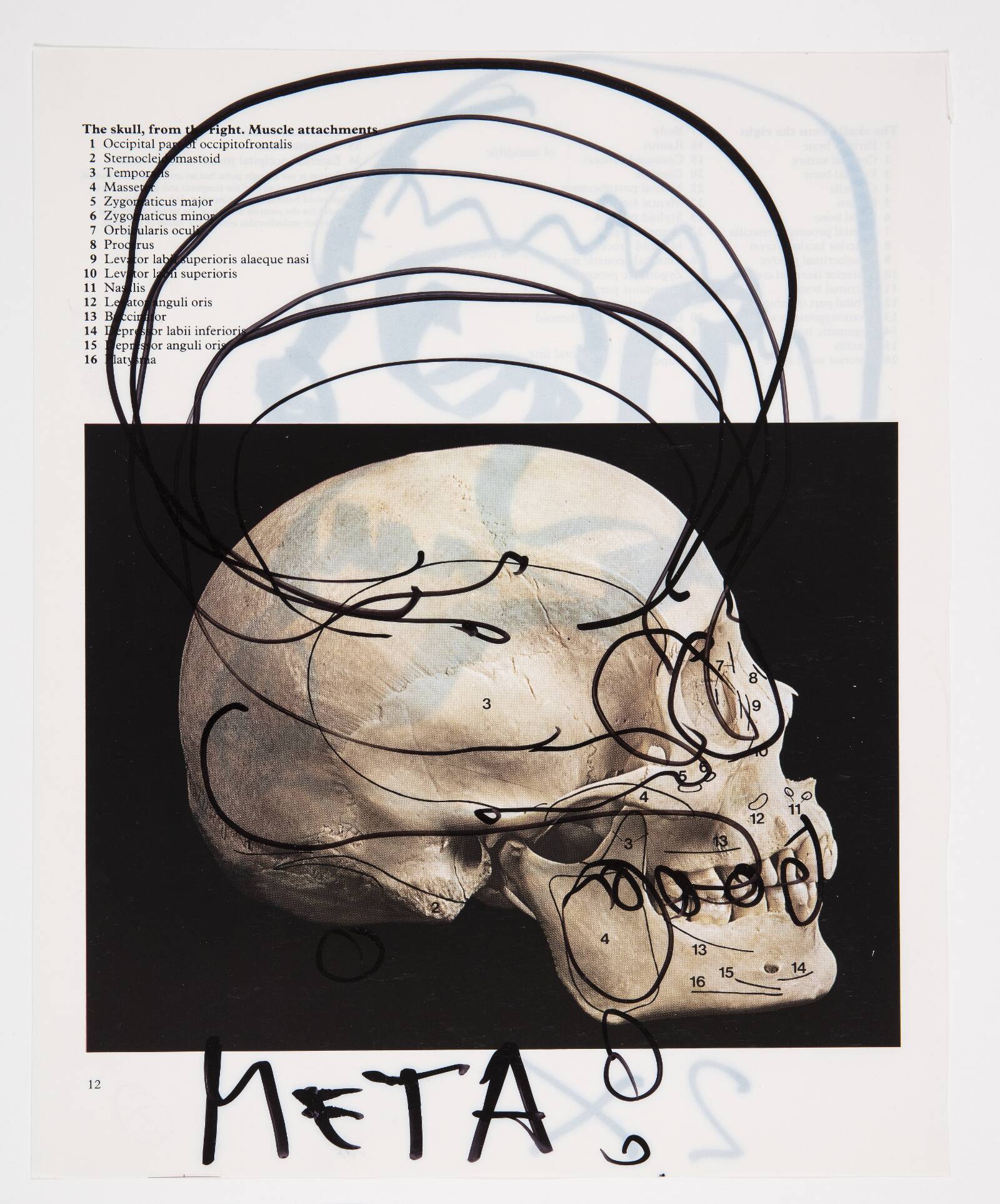 Meta, Christian Lemmerz, 1994