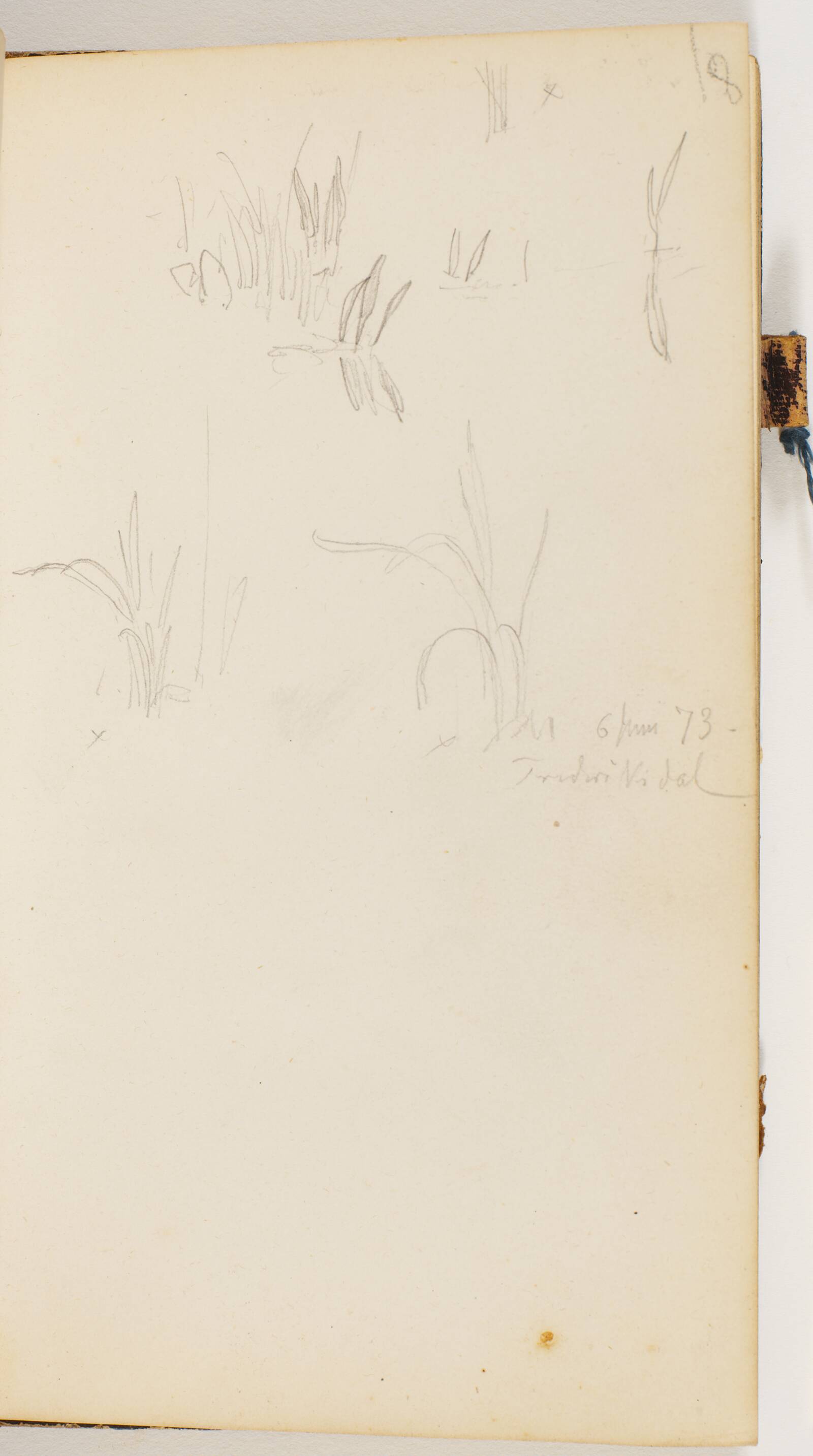 Græstrå og siv, P.C. Skovgaard, 1873