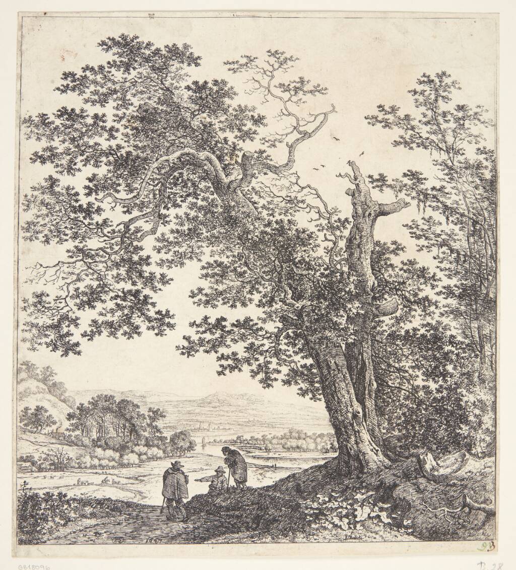 Panorama med en flod, i forgrunden et dobbeltstammet træ, Herman Saftleven, 1647