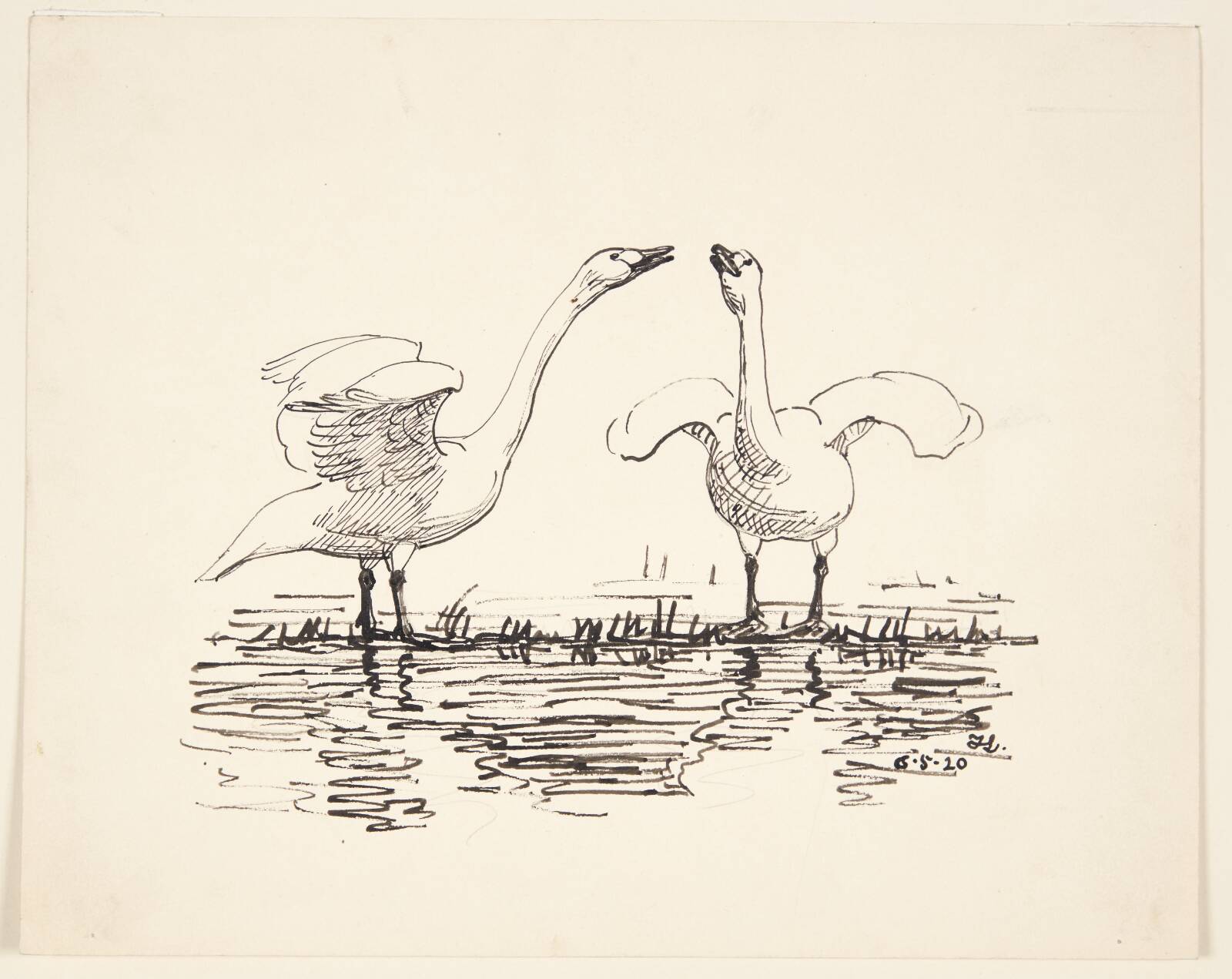 To pibesvaner, Johannes Larsen, 1920