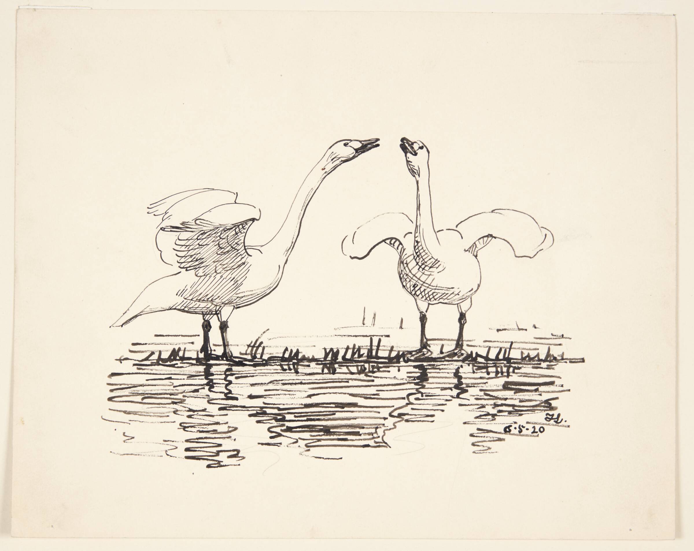 To pibesvaner, Johannes Larsen, 1920