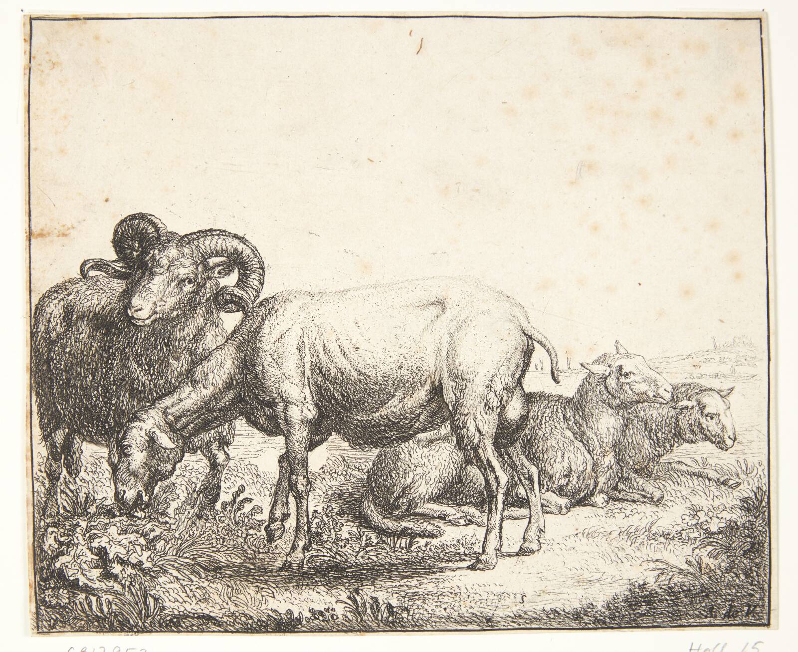 En vædder og nogle får, Simon de Vlieger, 1600-1653