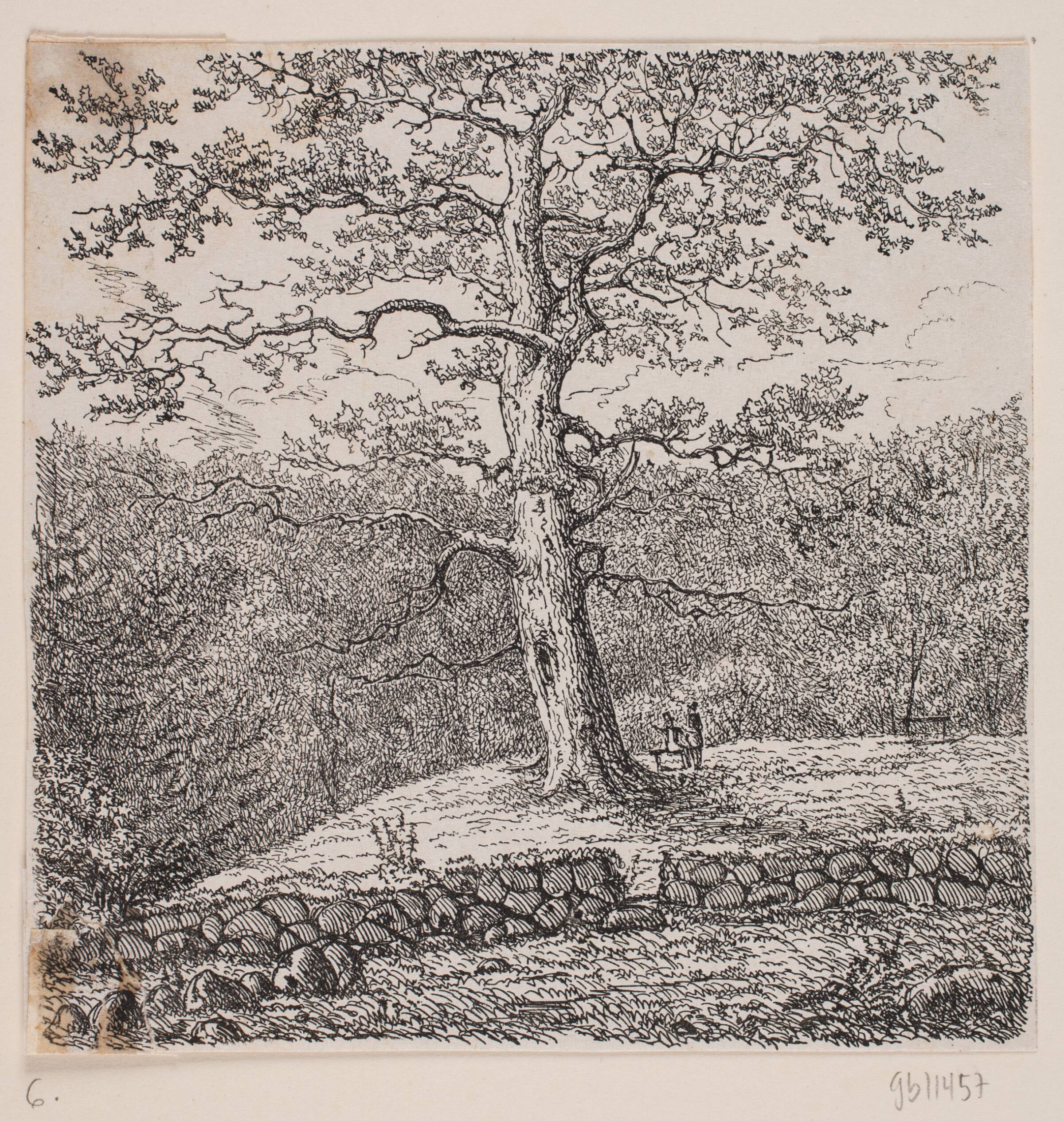 Niels Ebbesens eg ved Nørreris, Johan Aagaard, 1818-1879