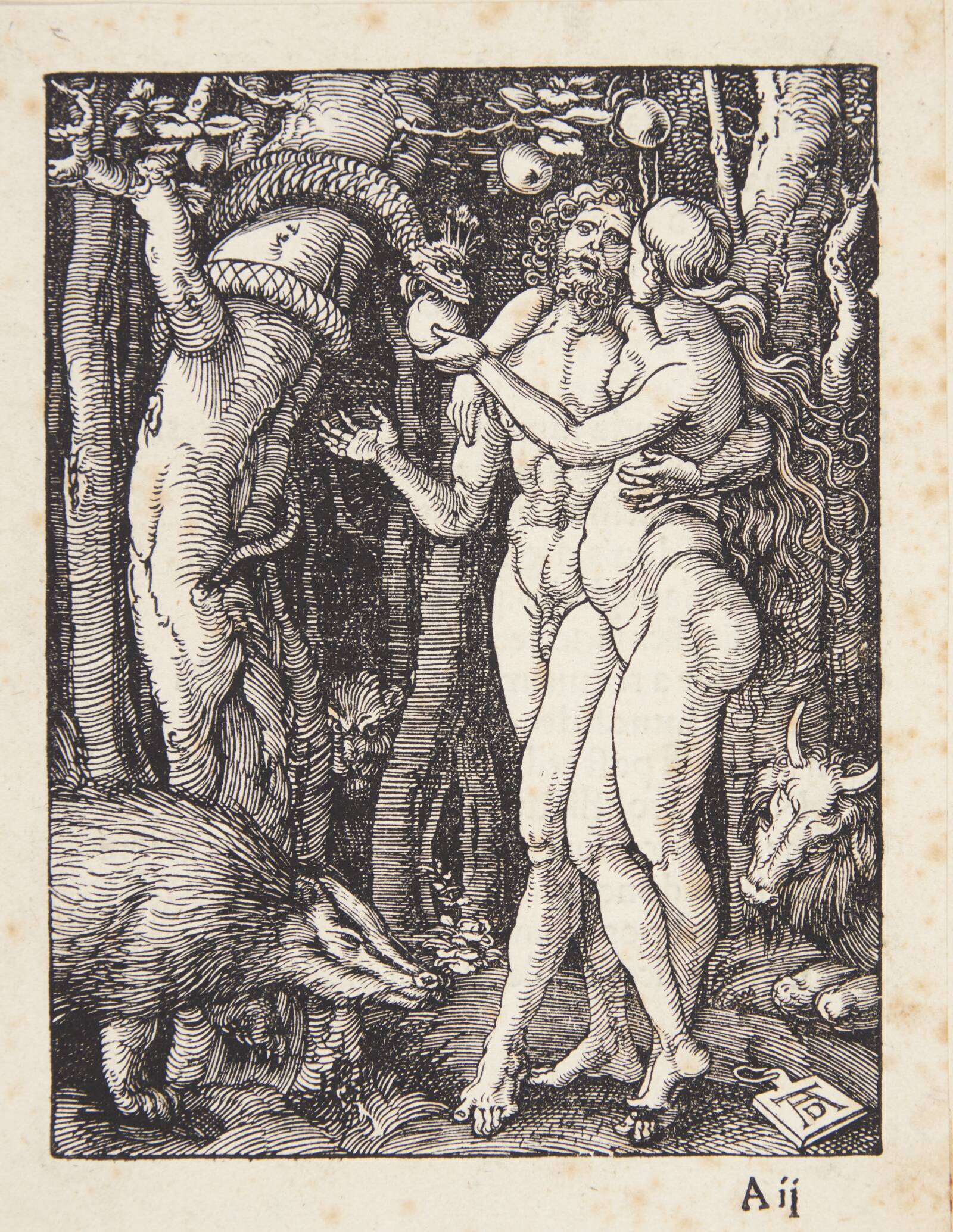 Syndefaldet, Albrecht Dürer, 1508-1511