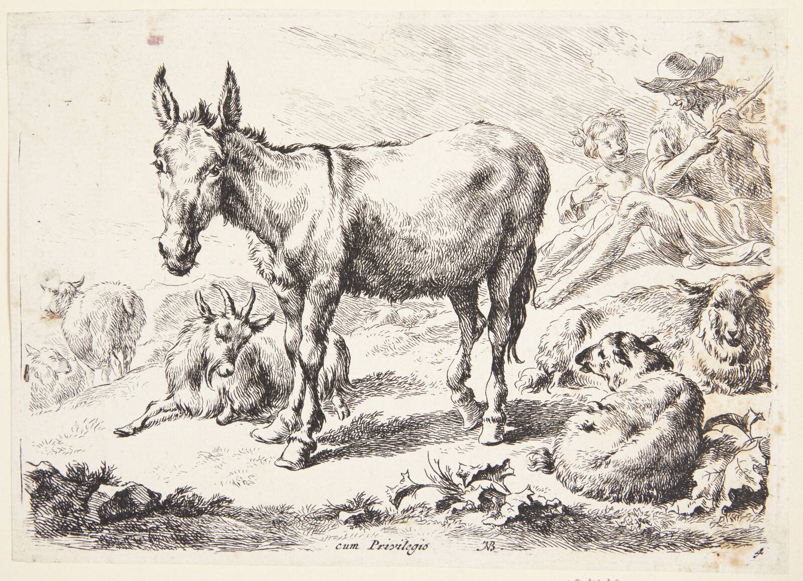 Æsel og geder, Nicolaes Berchem, 1620-1683