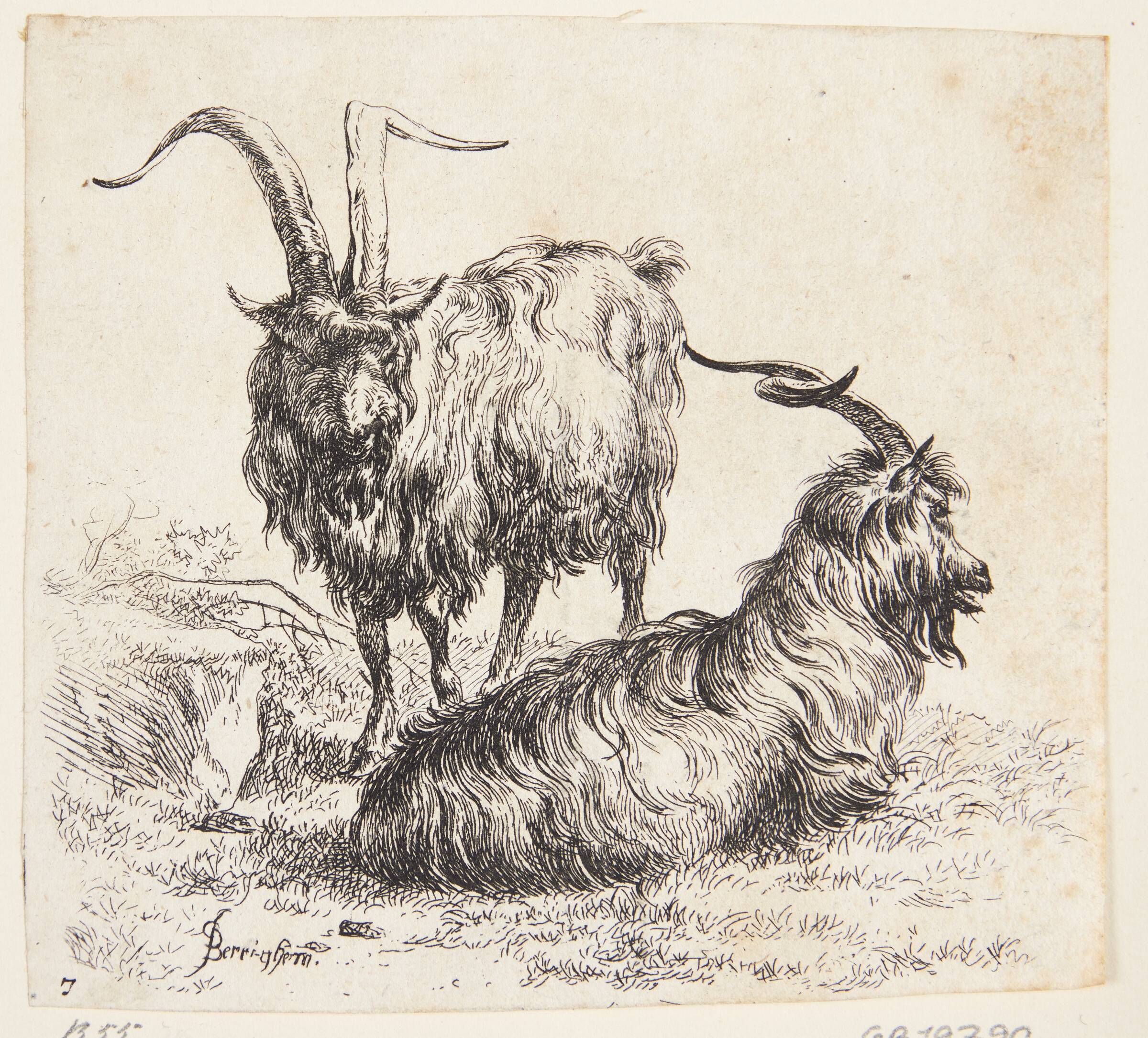 En stående og en liggende ged, Nicolaes Berchem, 1620-1683