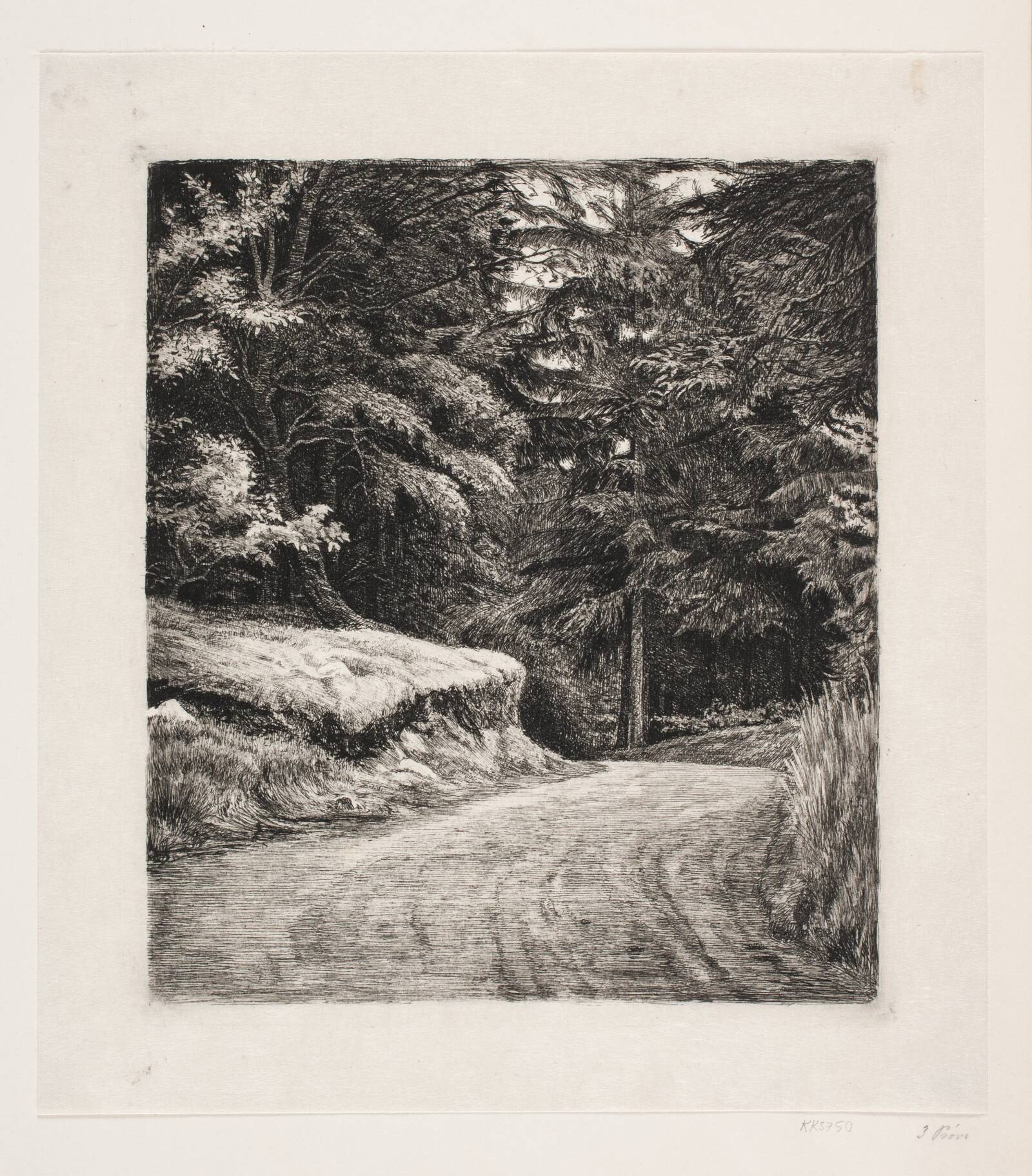Vejen i Granskoven, Carl Bloch, 1885