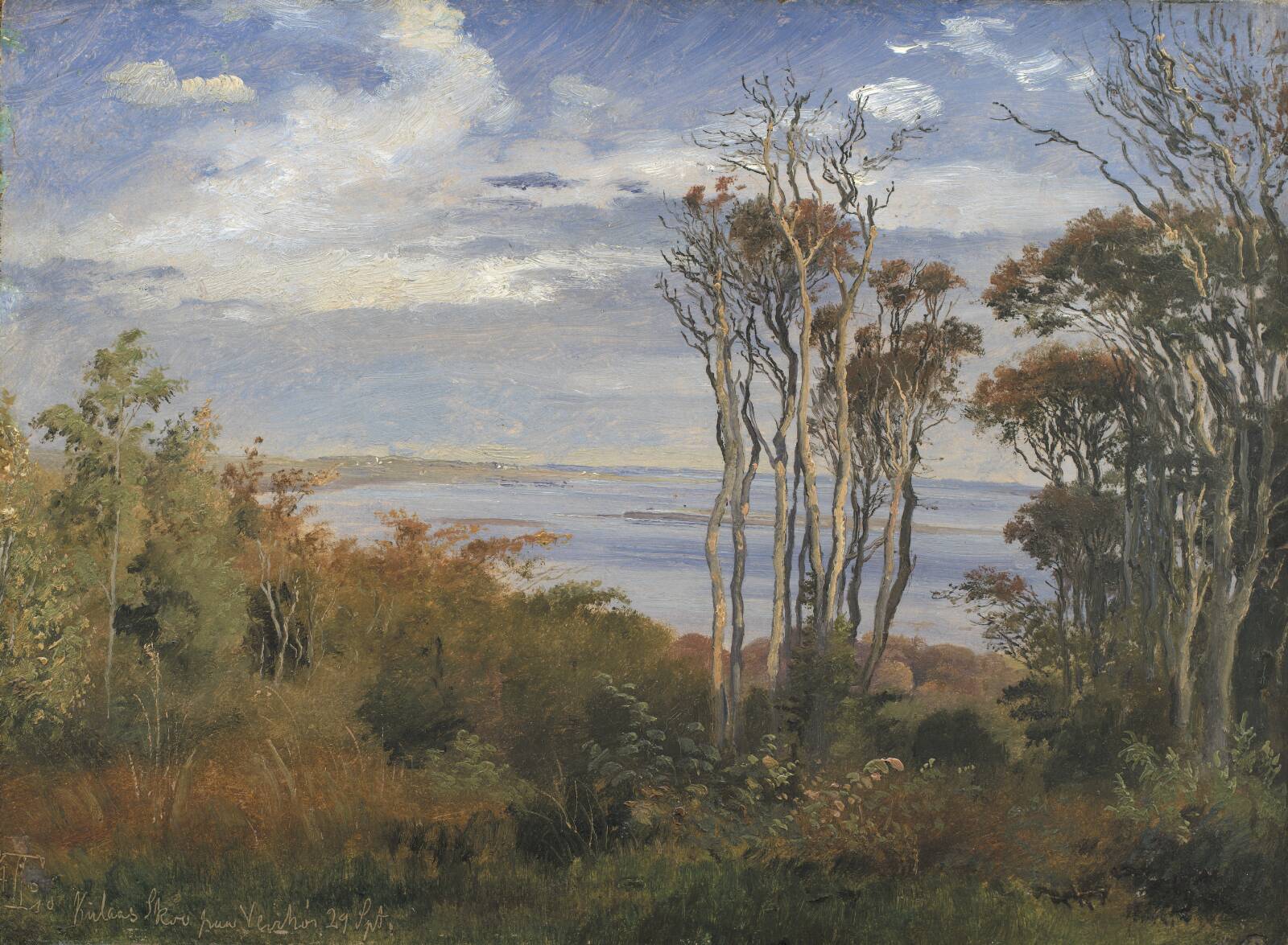 Kolås Skov på Vejrhøj, Johan Thomas Lundbye, 1846