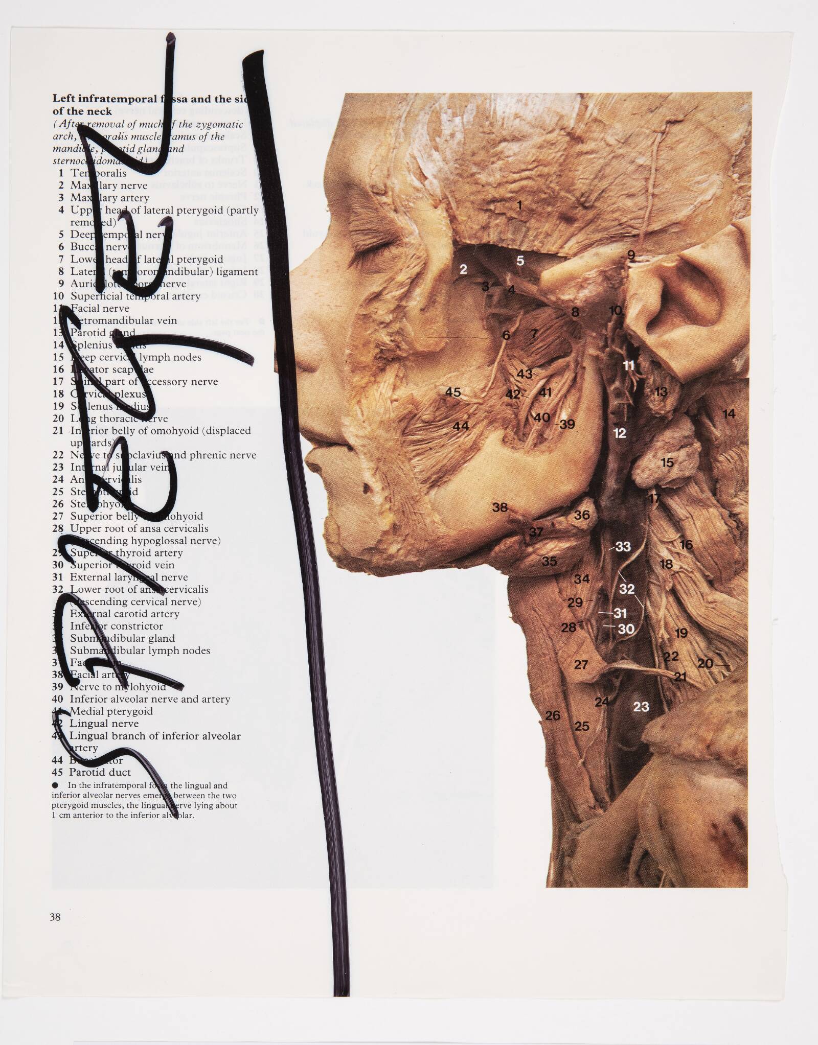 Spiegel, Christian Lemmerz, 1994