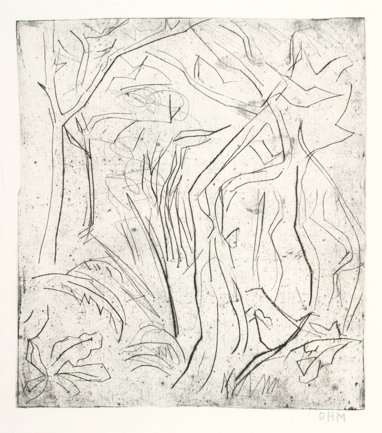 Skovlandskab, Olivia Holm-Møller, 1875-1970