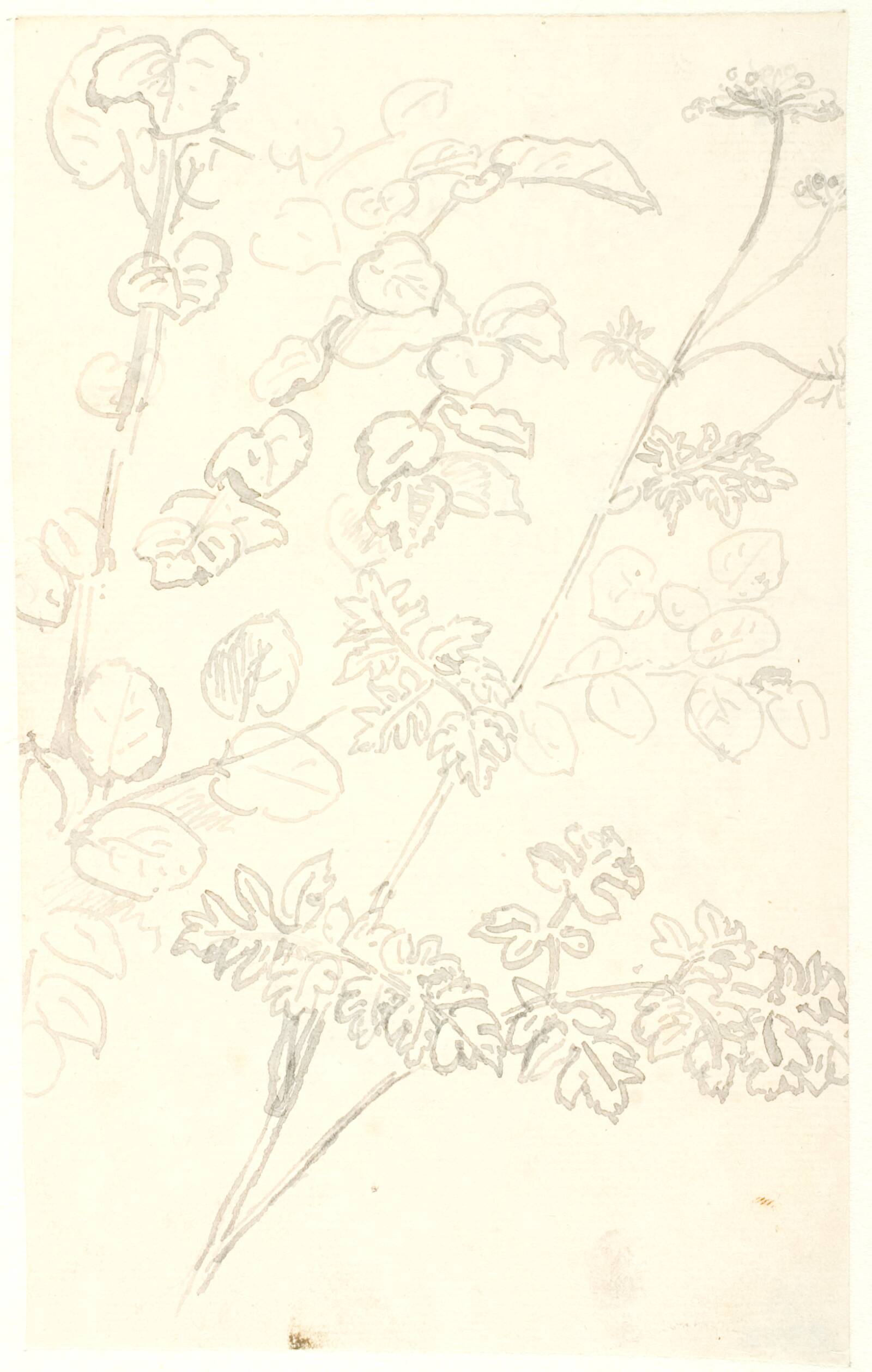 Plantestudier, Dankvart Dreyer, 1840-1849