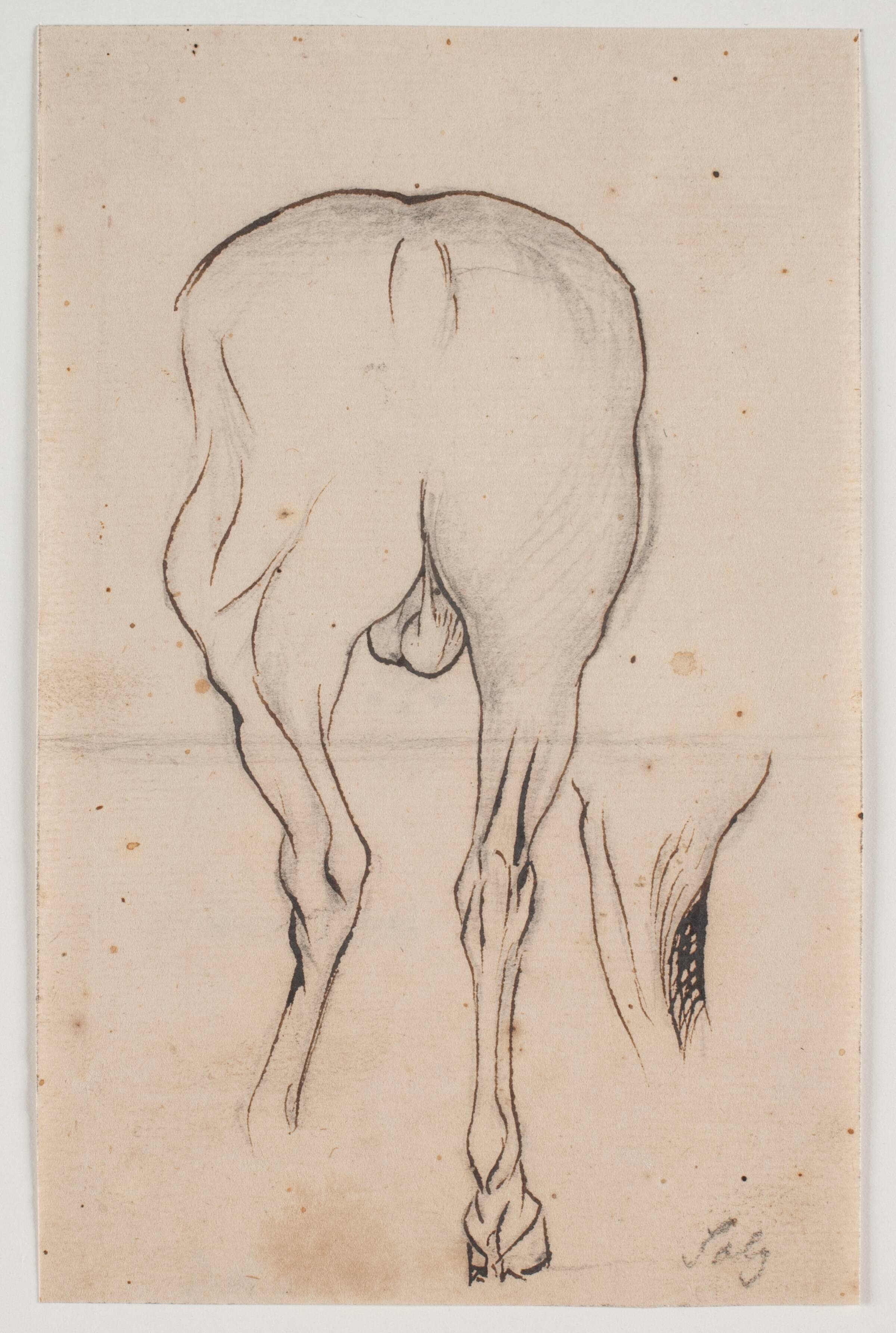 Hest set bagfra samt et hesteben, Jacques François Joseph Saly, 1717-1776