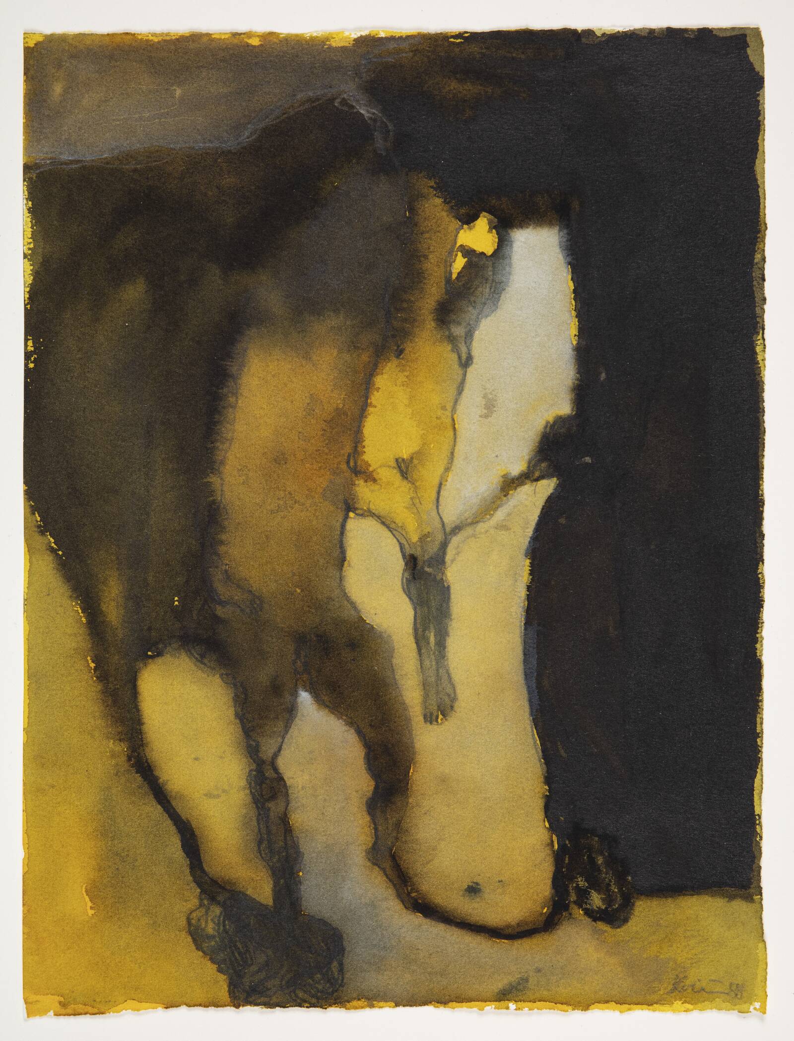 Papirvirus, Michael Kvium, 1988