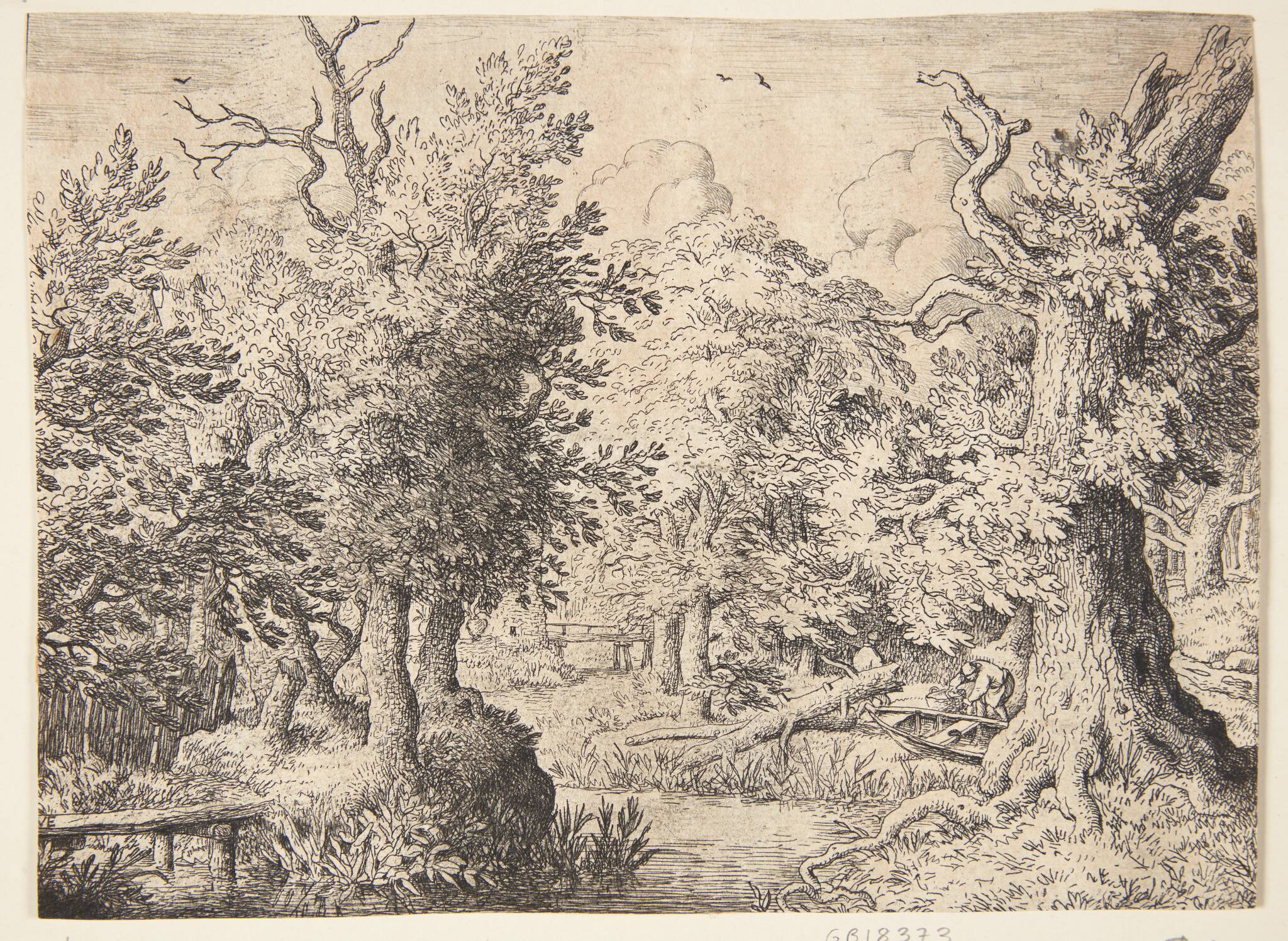 En bæk i en skov