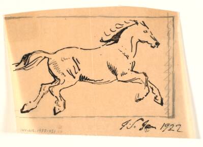 Galopperende hest