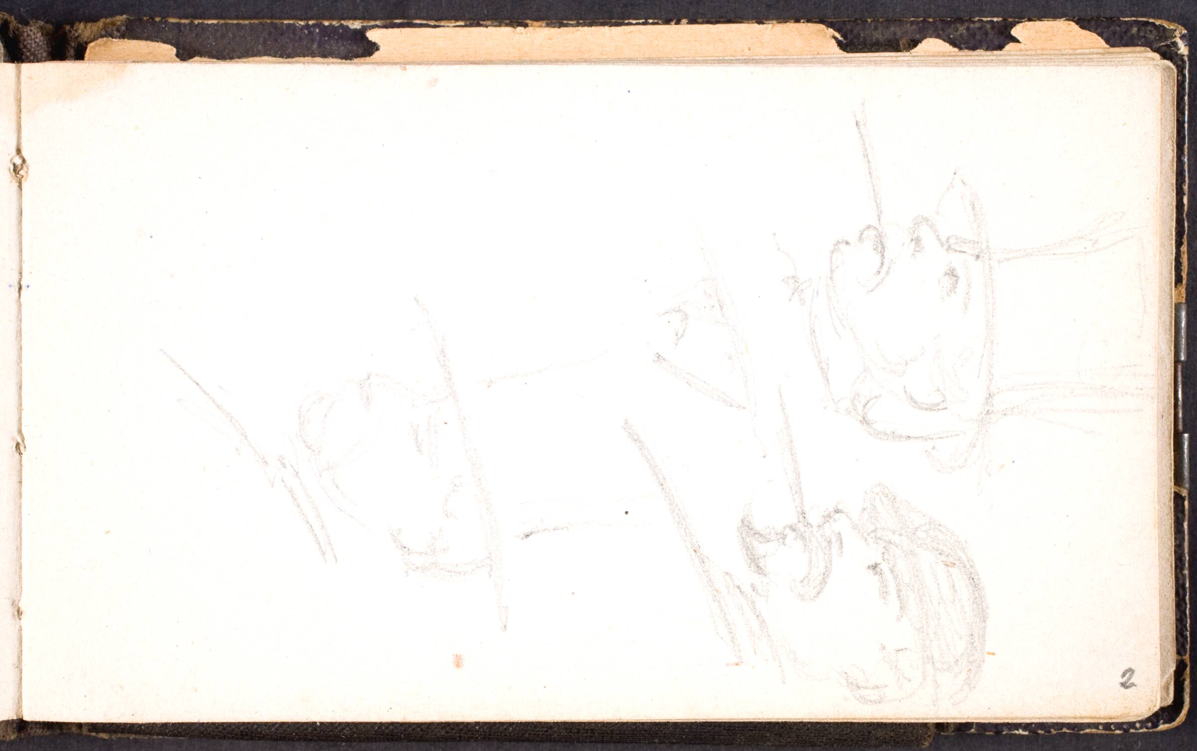 Studier af mandshoveder, L.A. Schou, 1864-1867