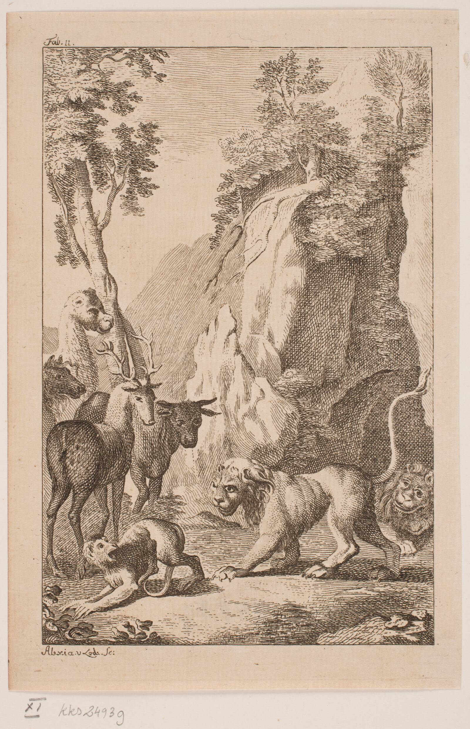 Den unge Løve og Aben, Alexia de Lode, 1760