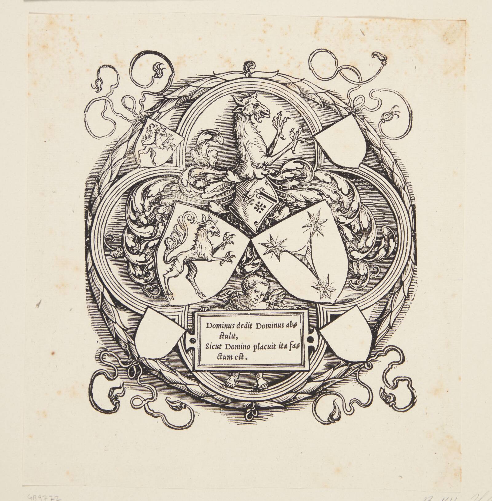 Scheurls våben, Wolf Traut, 1500-1549