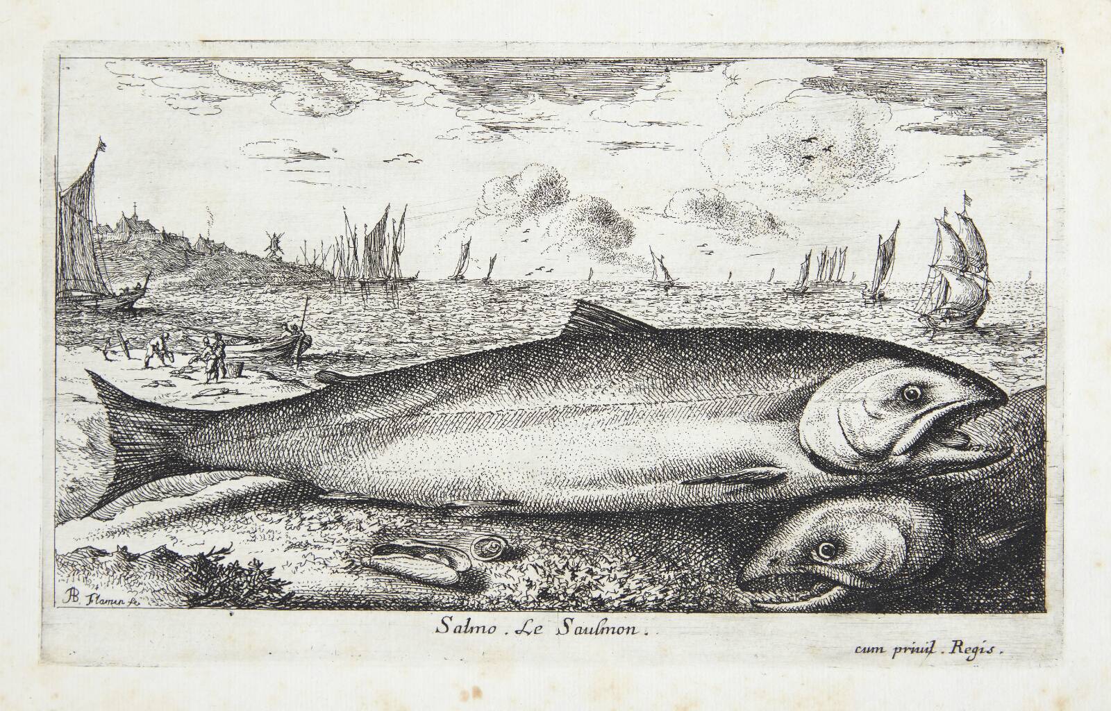 Laksen (Salmo), Louis de Deyster, 1620-1669